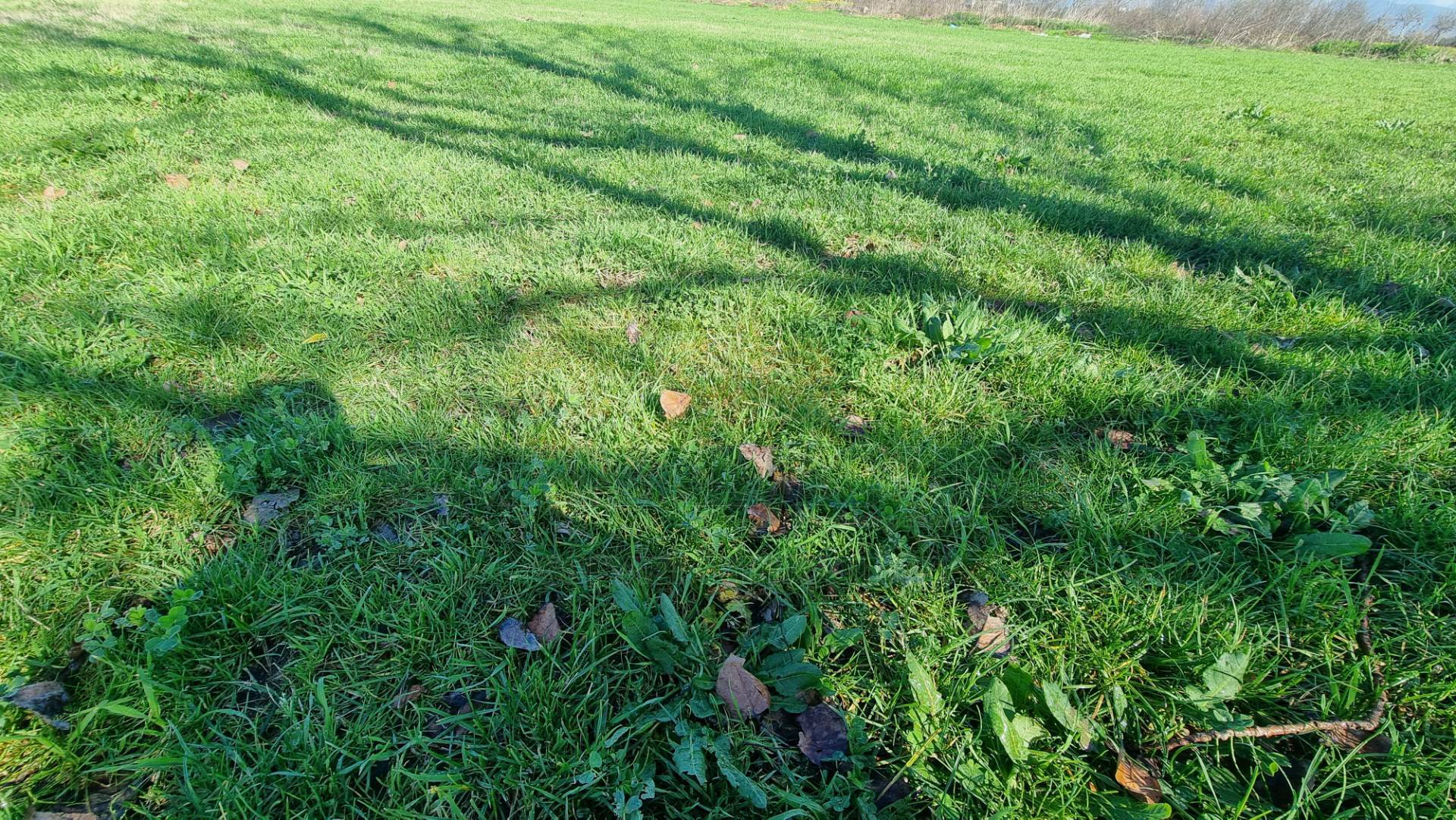 Terreno agricolo in vendita a Marcianise