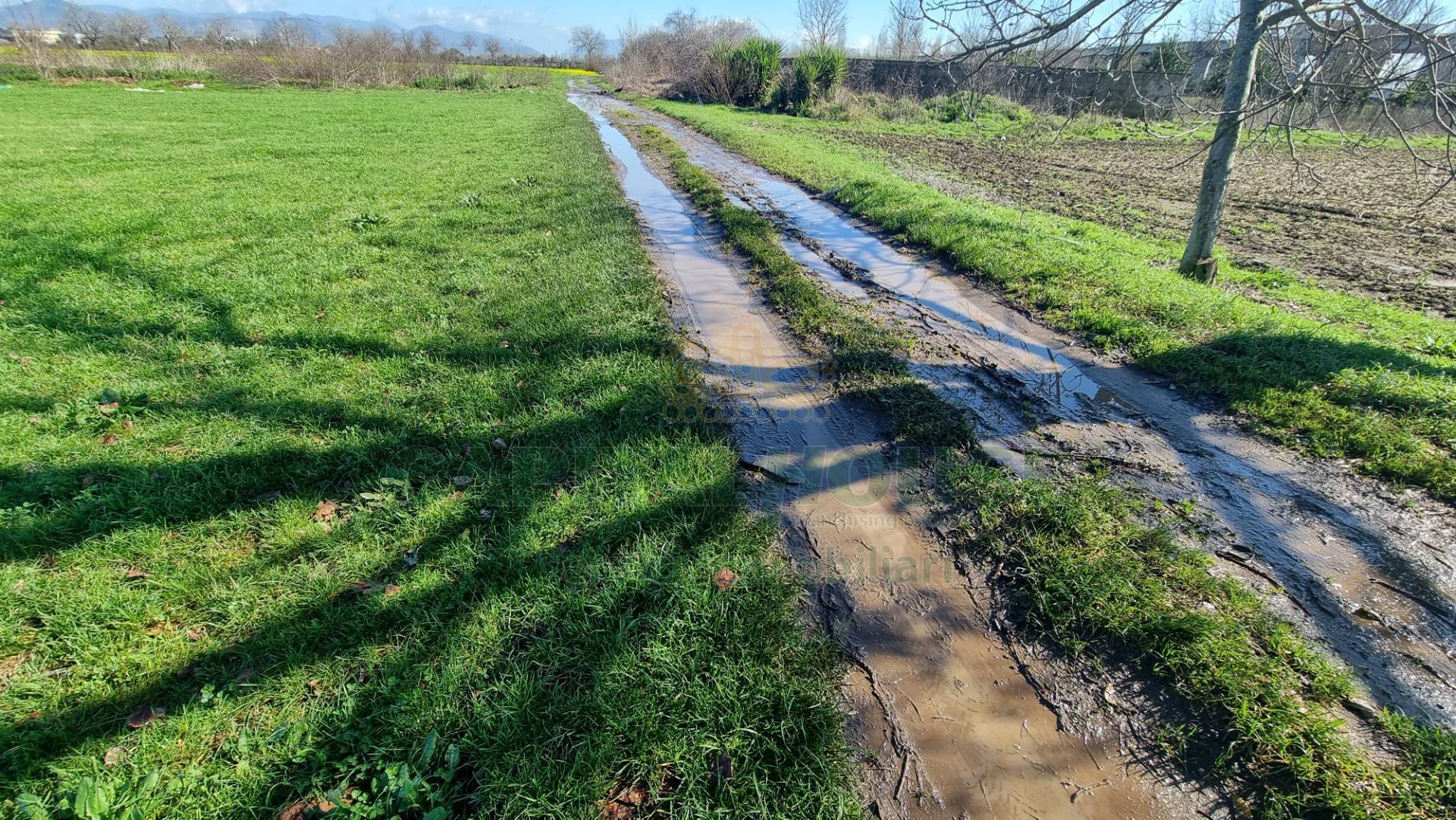 Terreno agricolo in vendita a Marcianise