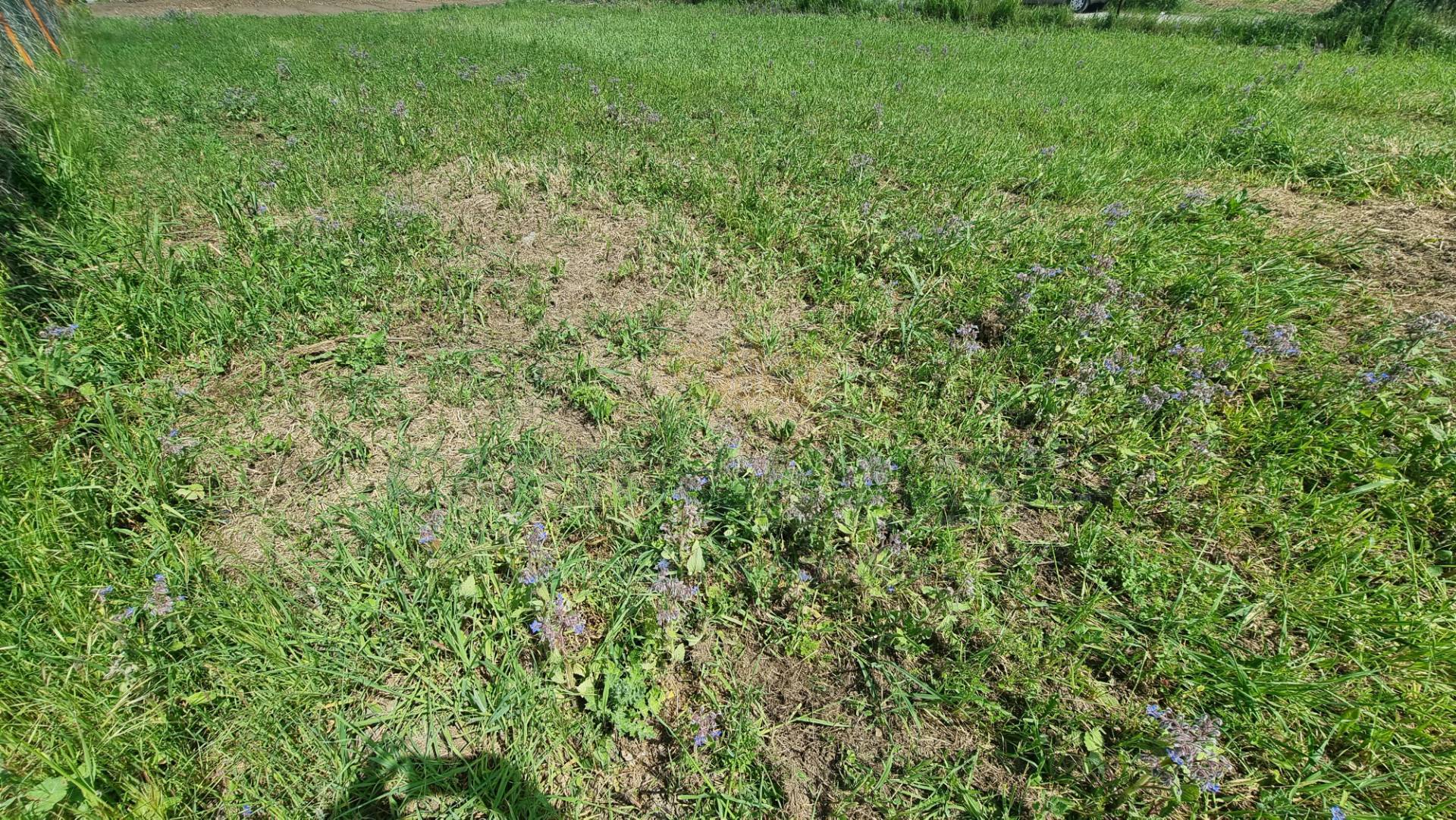 Terreno edificabile in vendita a Marcianise