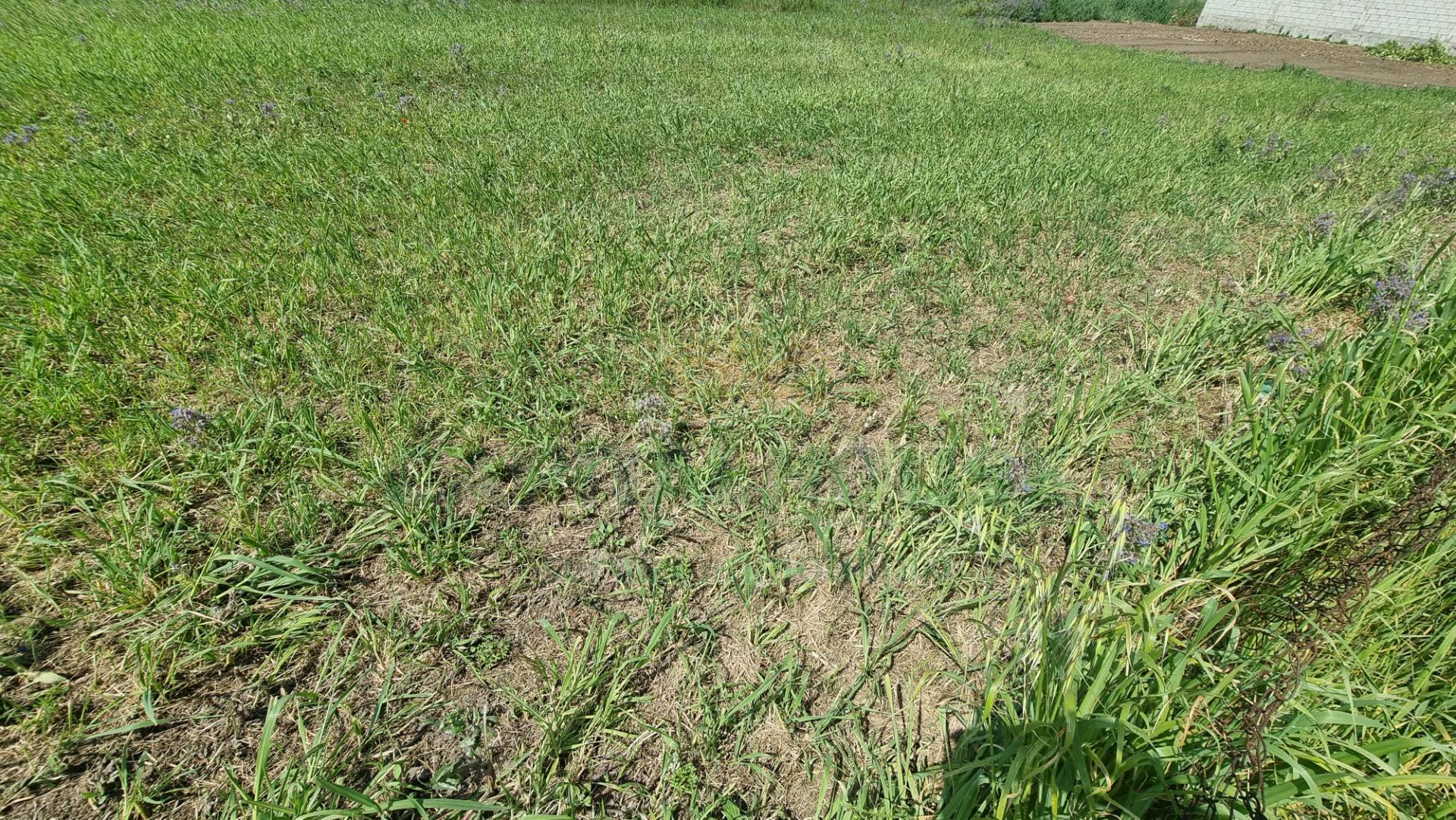 Terreno edificabile in vendita a Marcianise