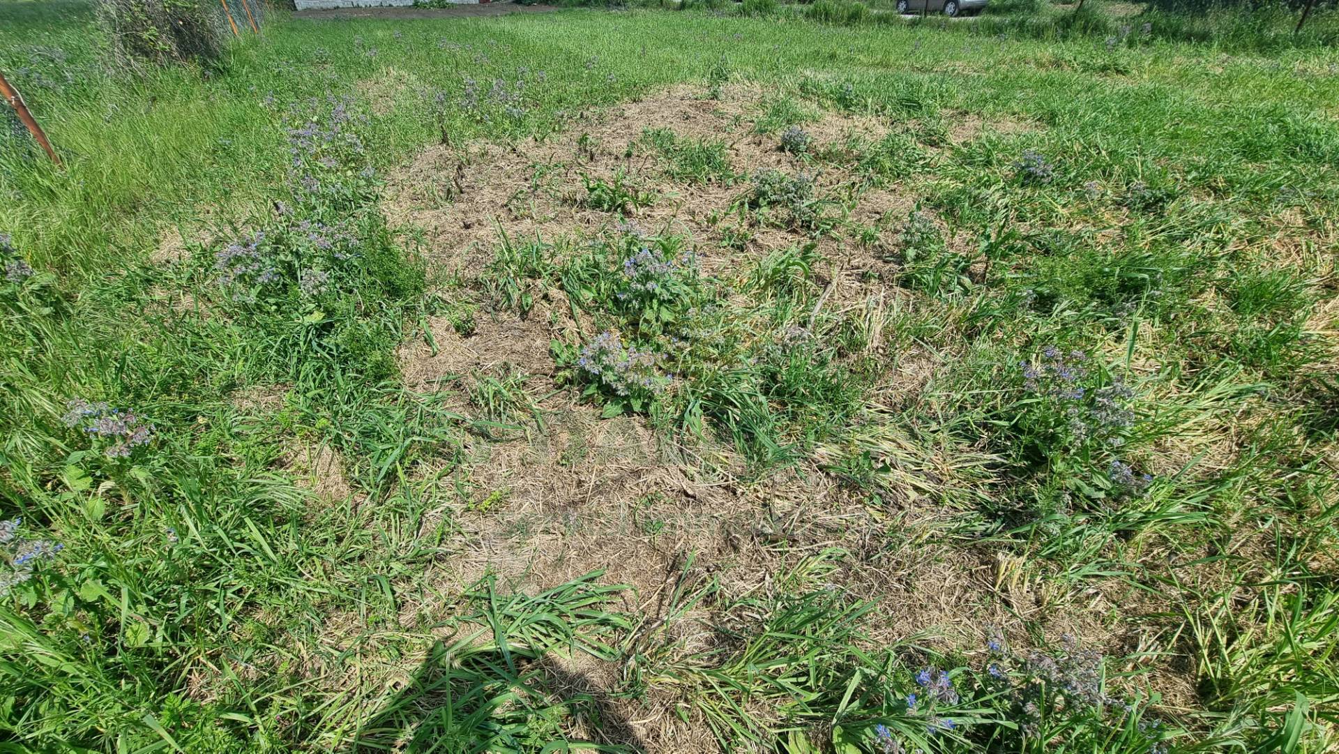 Terreno edificabile in vendita a Marcianise