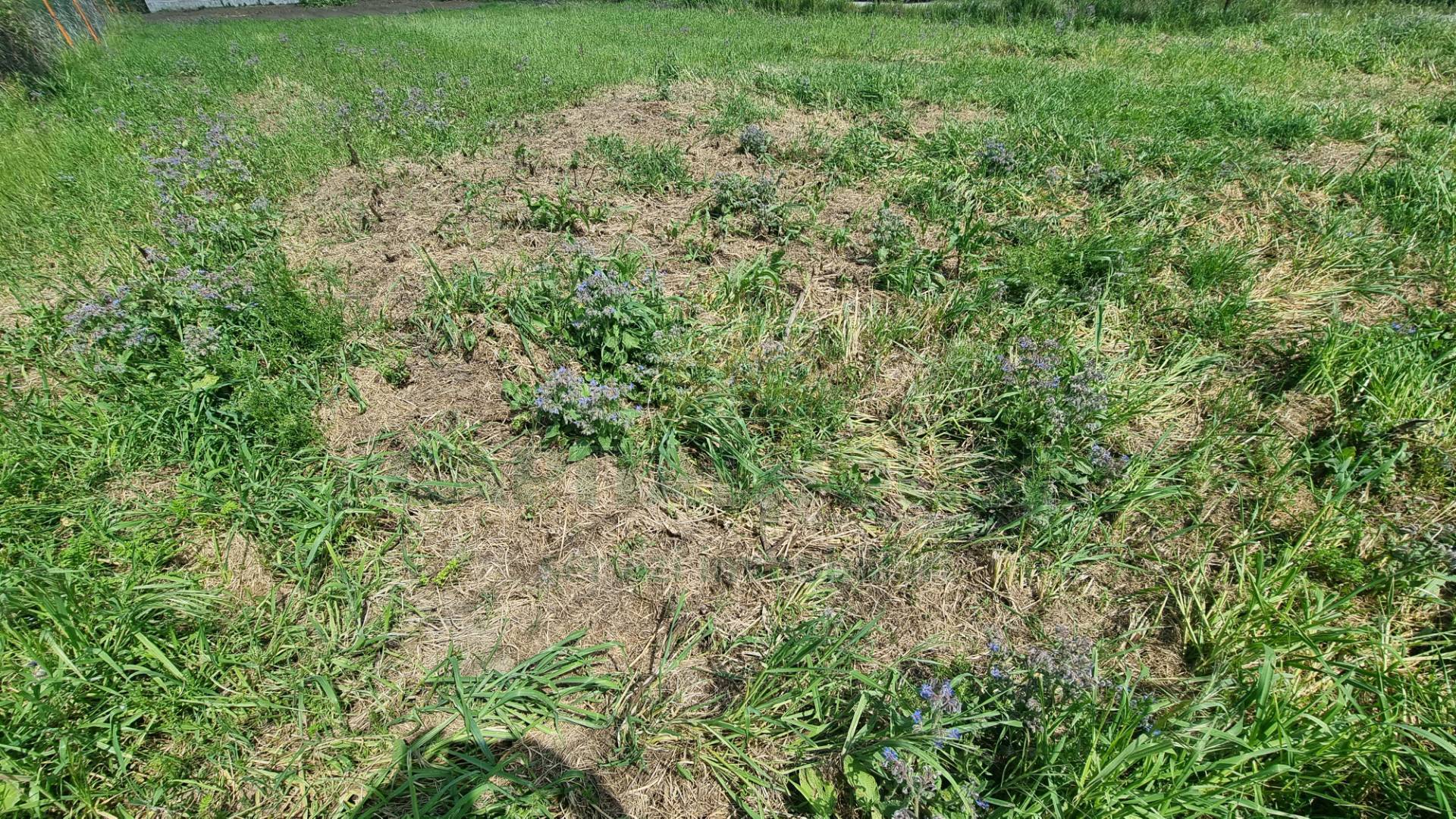 Terreno edificabile in vendita a Marcianise