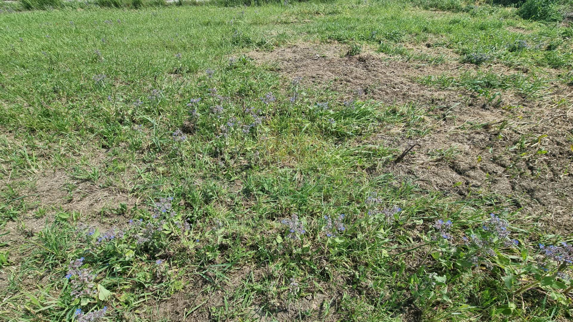 Terreno edificabile in vendita a Marcianise