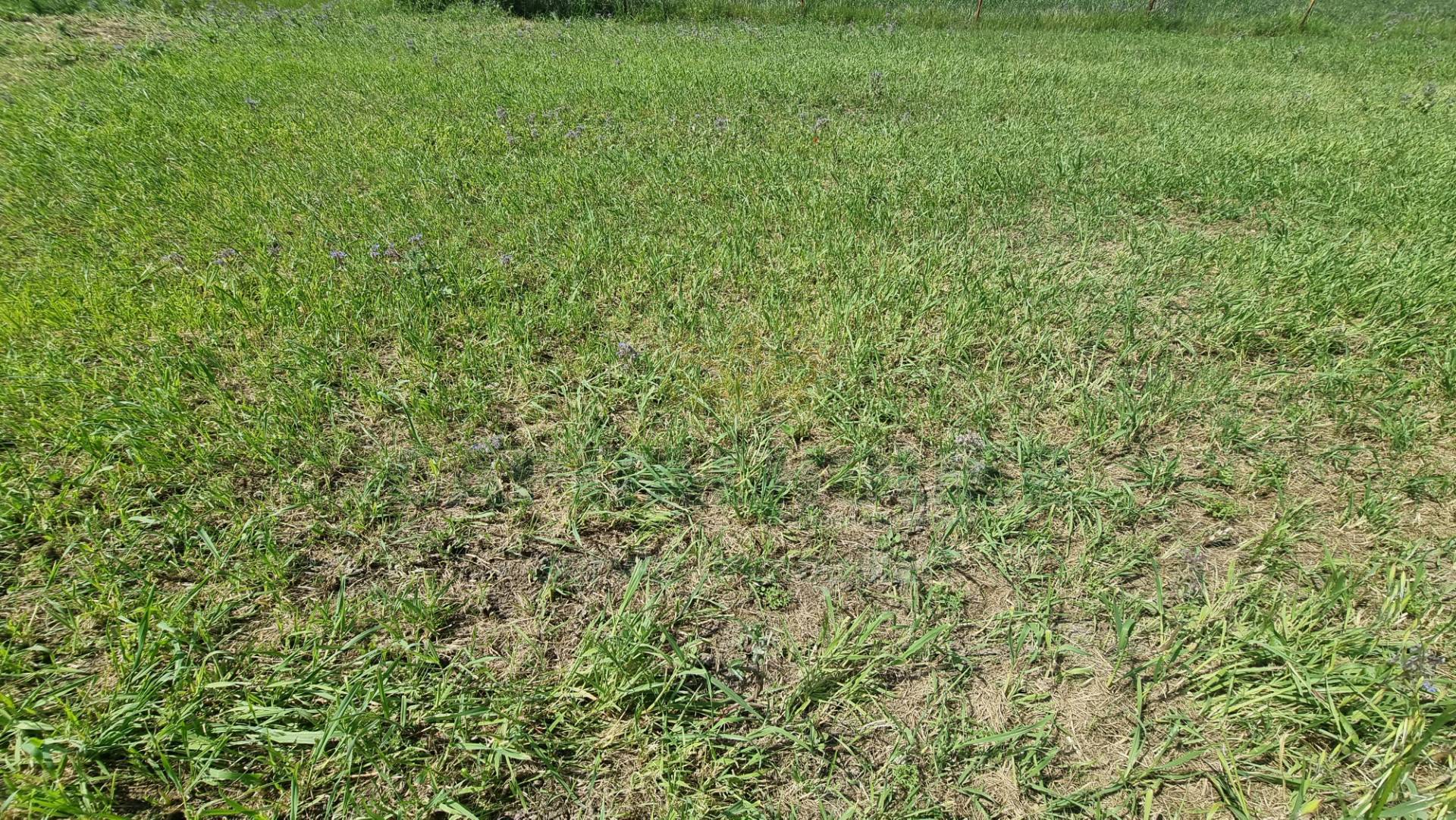 Terreno edificabile in vendita a Marcianise