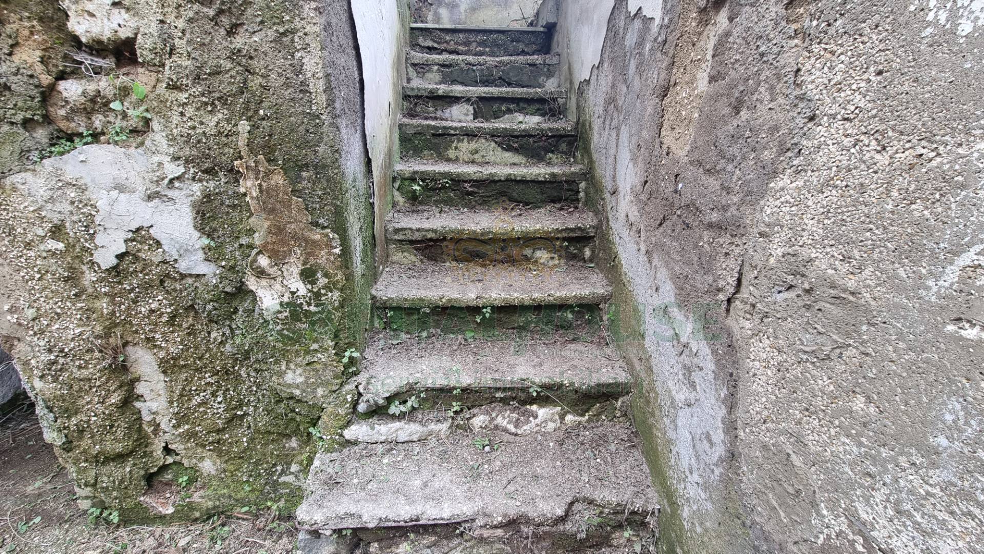 Appartamento in vendita a Casagiove