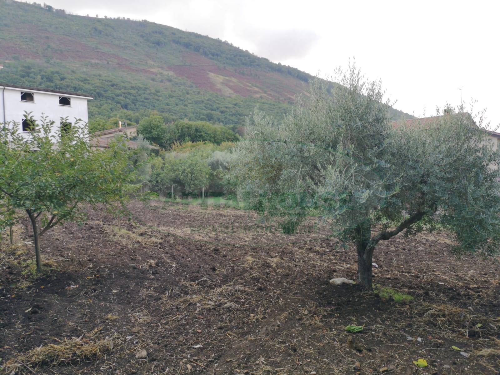 Terreno in vendita, Sant'Agata De' Goti bagnoli