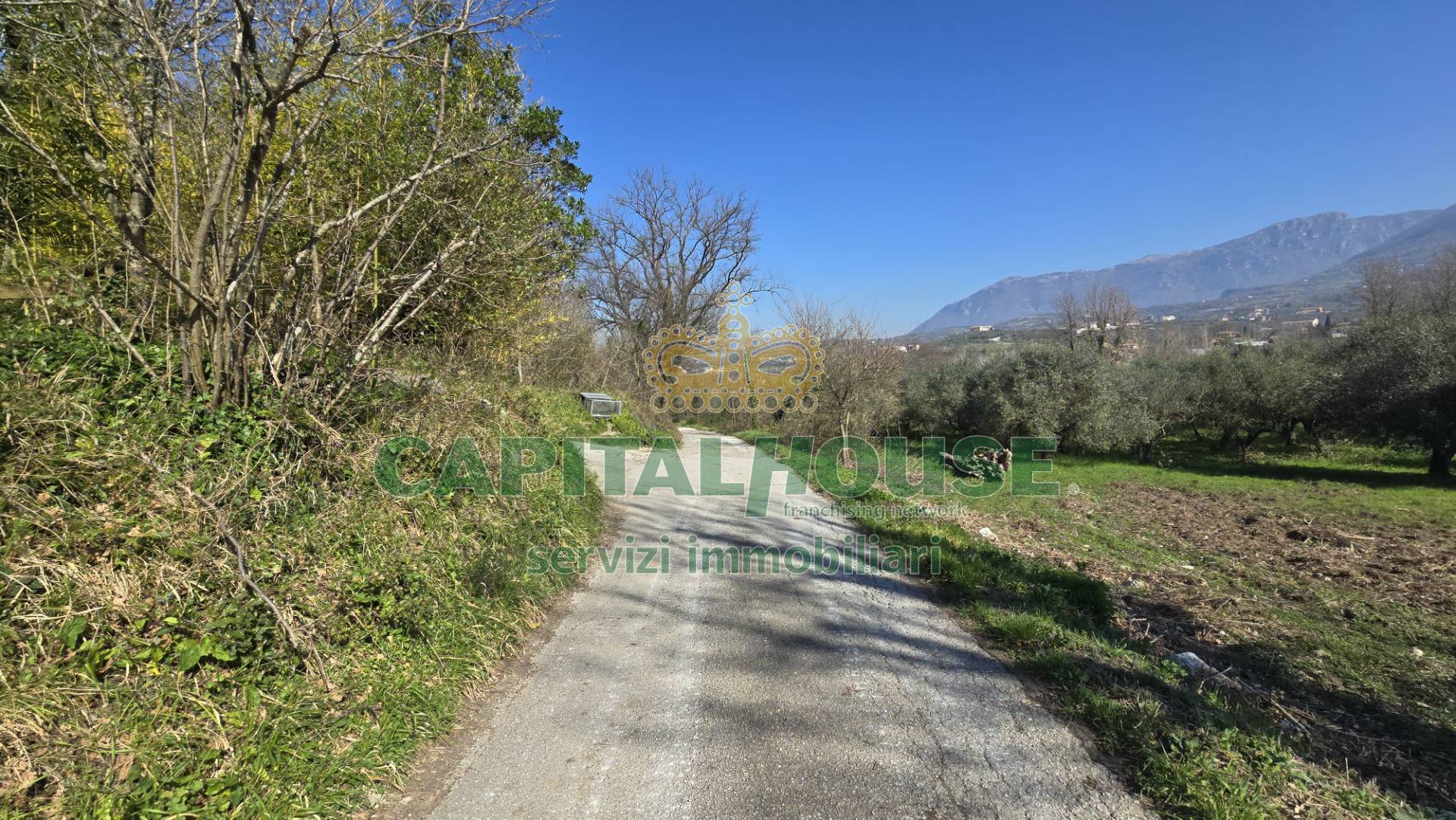 Terreno agricolo in vendita a Sant'Agata de' Goti, San Silvestro