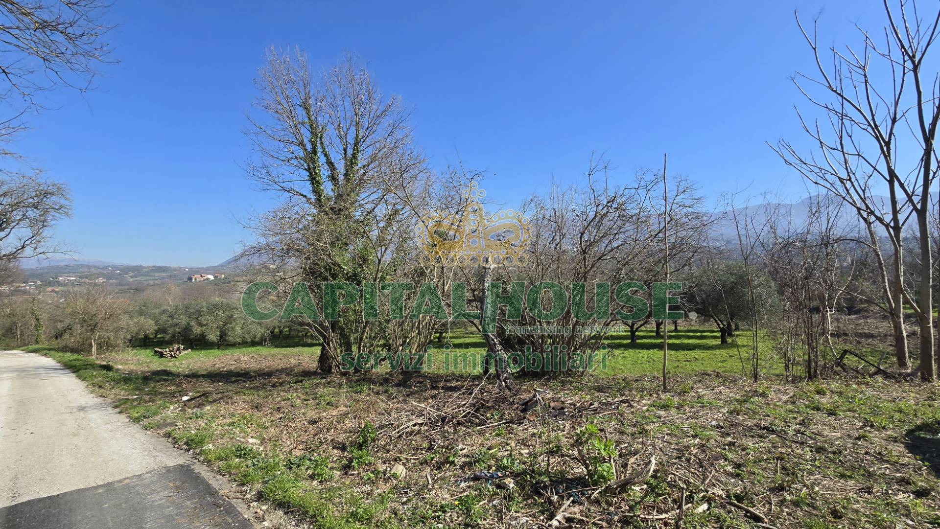 Terreno agricolo in vendita a Sant'Agata de' Goti, San Silvestro