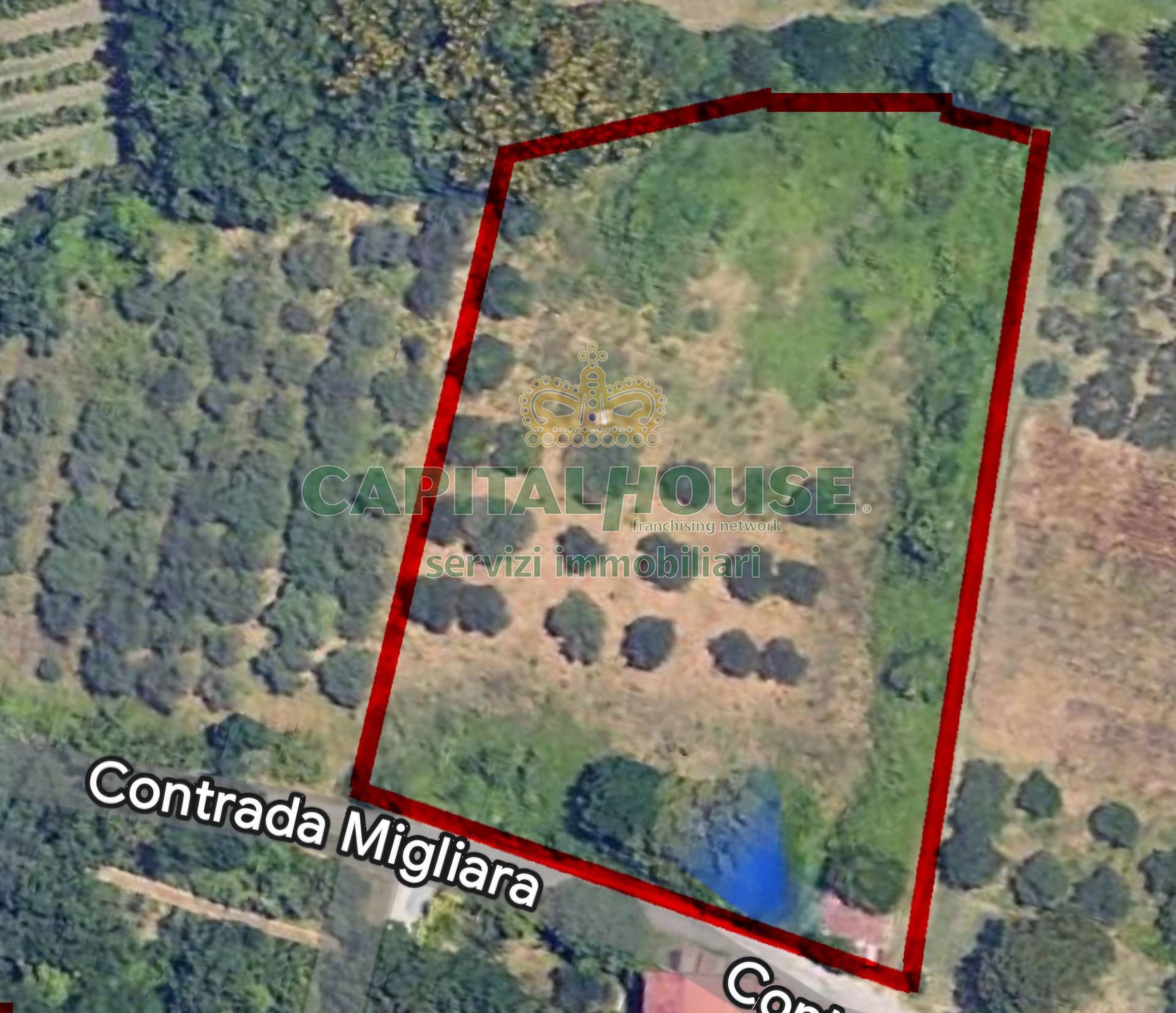 Terreno agricolo in vendita a Sant'Agata de' Goti, San Silvestro