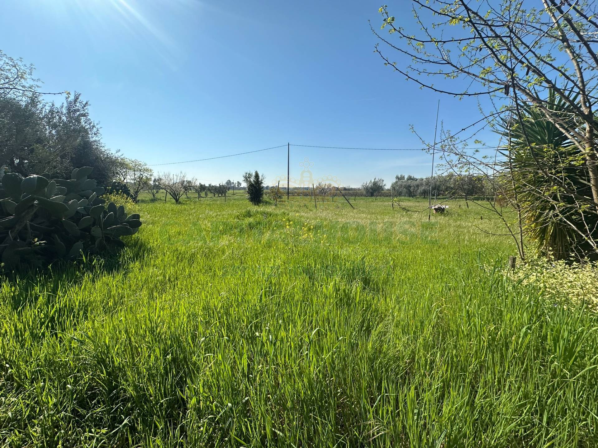 Terreno edificabile in vendita a Capua