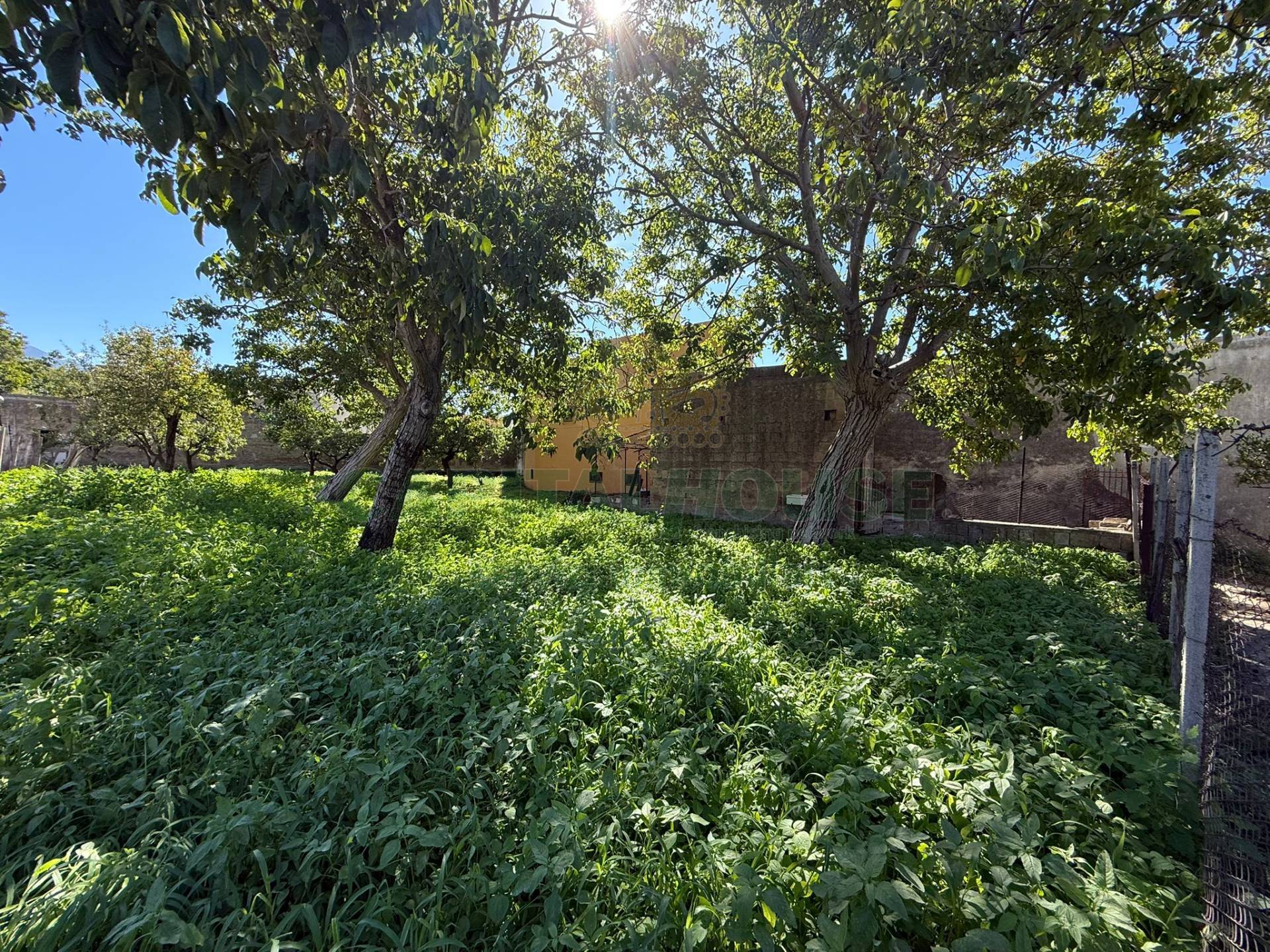 Terreno agricolo in vendita a Roccarainola