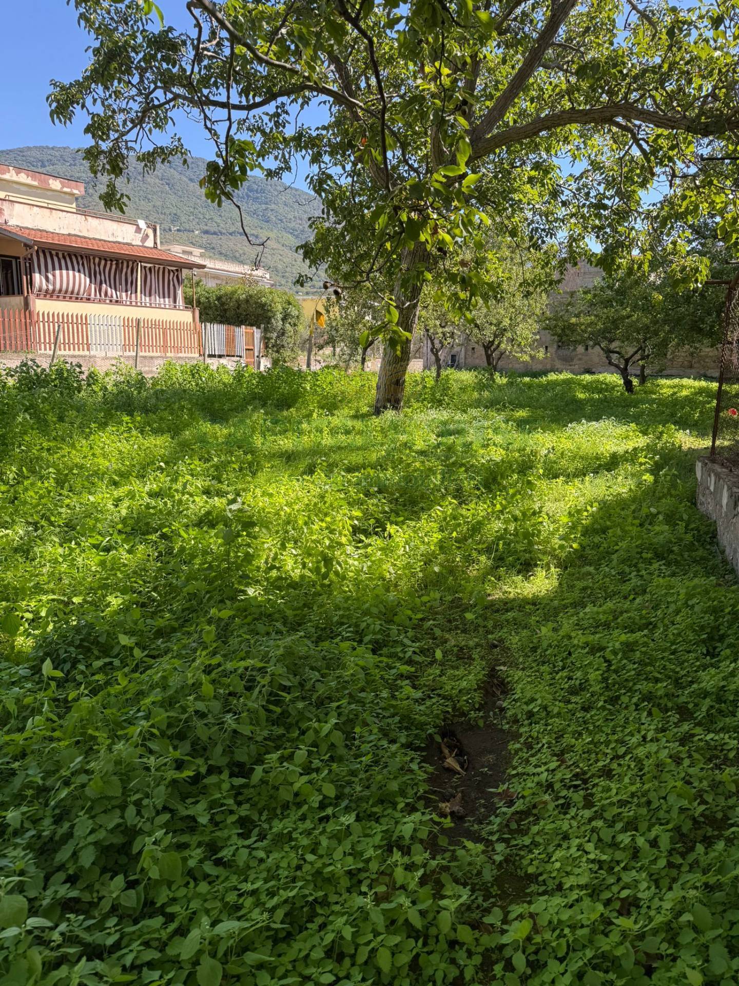 Terreno agricolo in vendita a Roccarainola