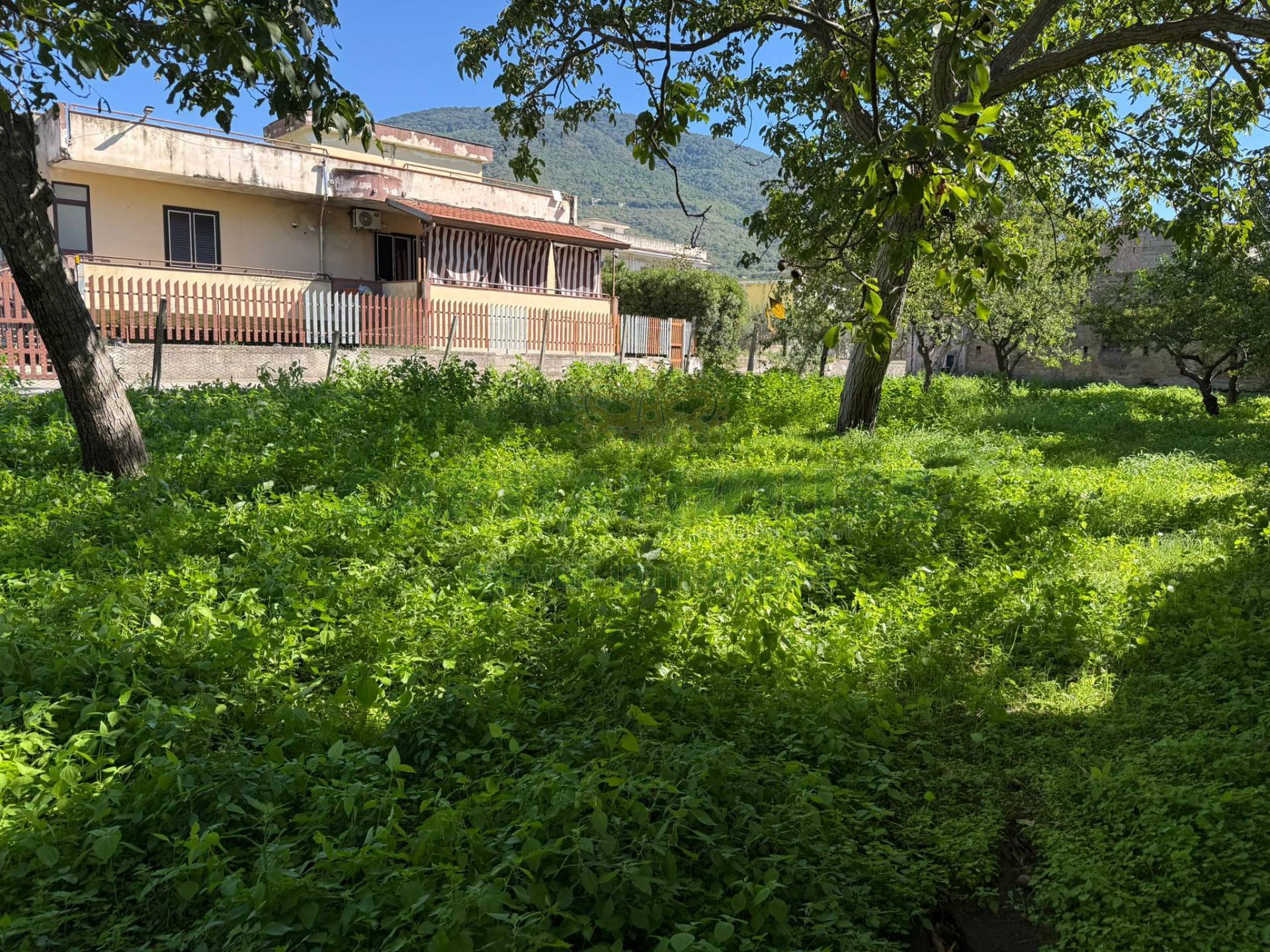 Terreno agricolo in vendita a Roccarainola