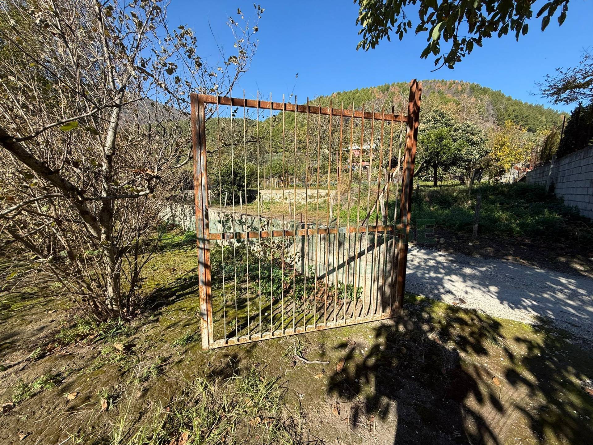 Terreno agricolo in vendita a Roccarainola