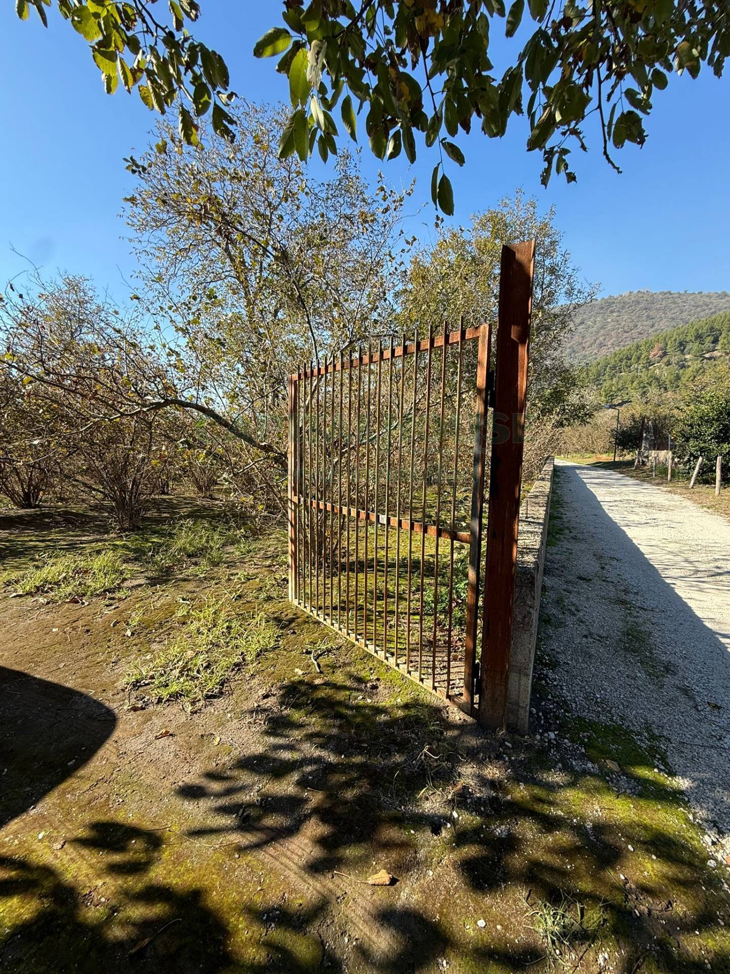 Terreno agricolo in vendita a Roccarainola