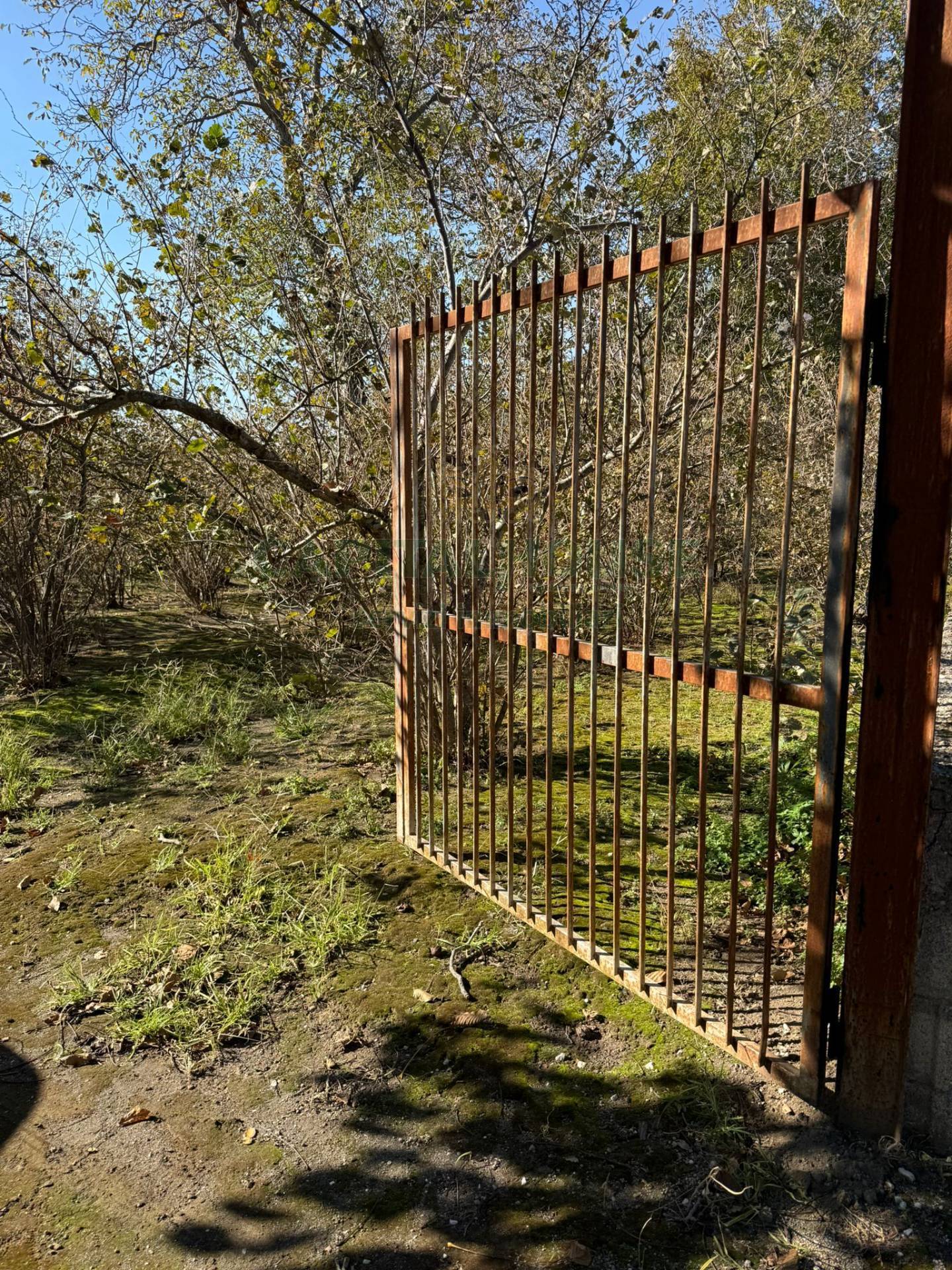 Terreno agricolo in vendita a Roccarainola