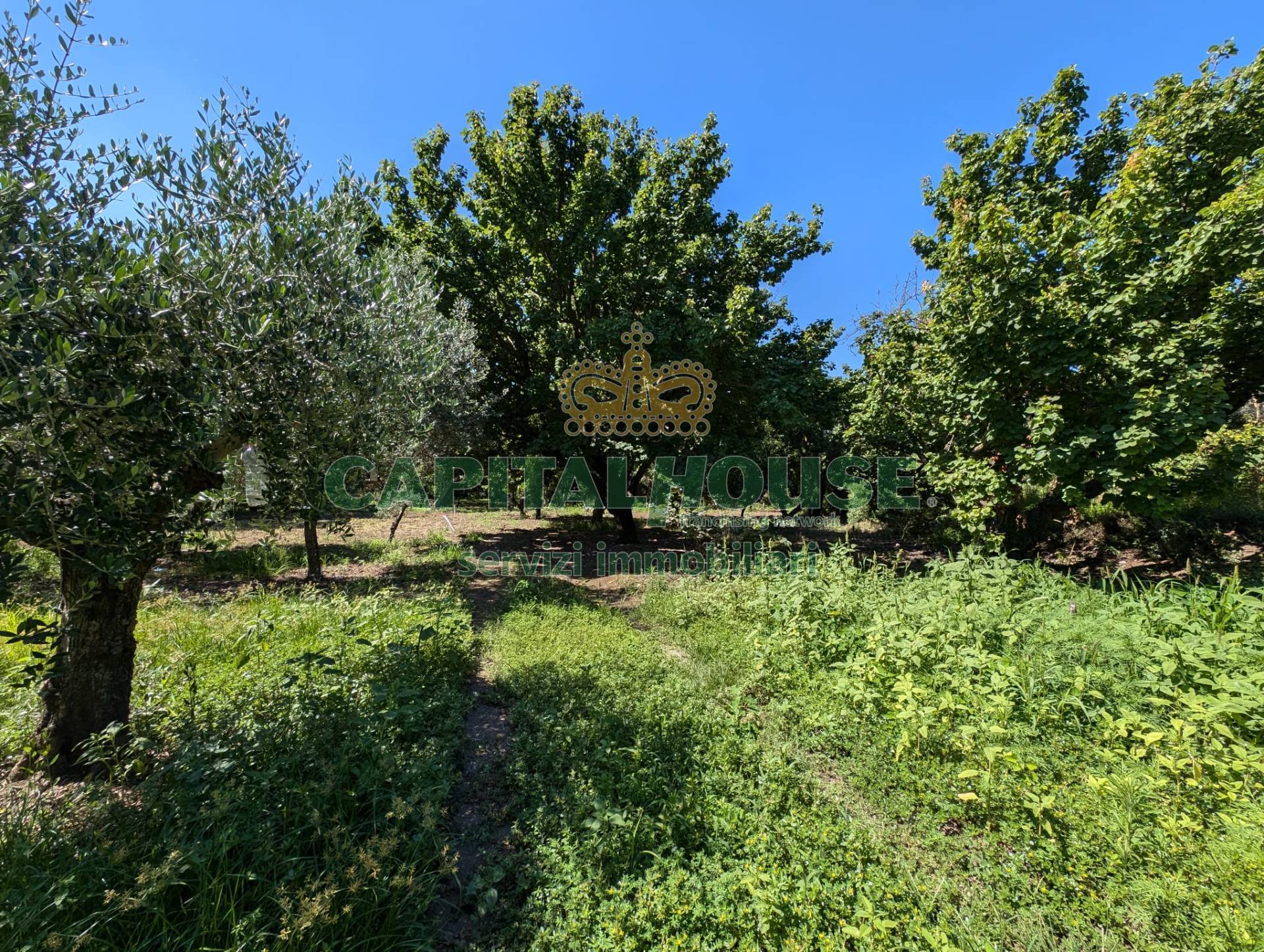 Terreno agricolo in vendita a Cicciano