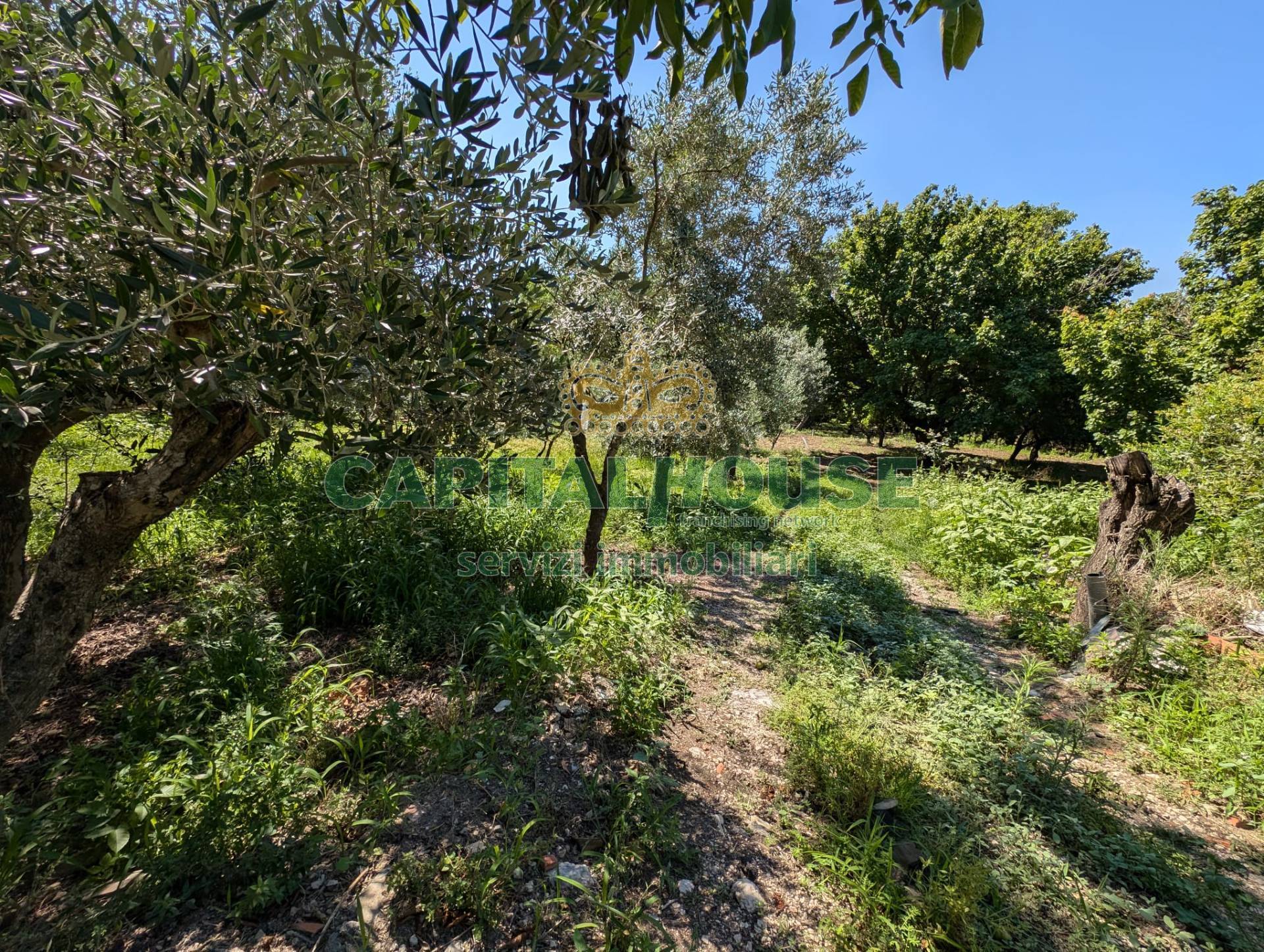 Terreno agricolo in vendita a Cicciano