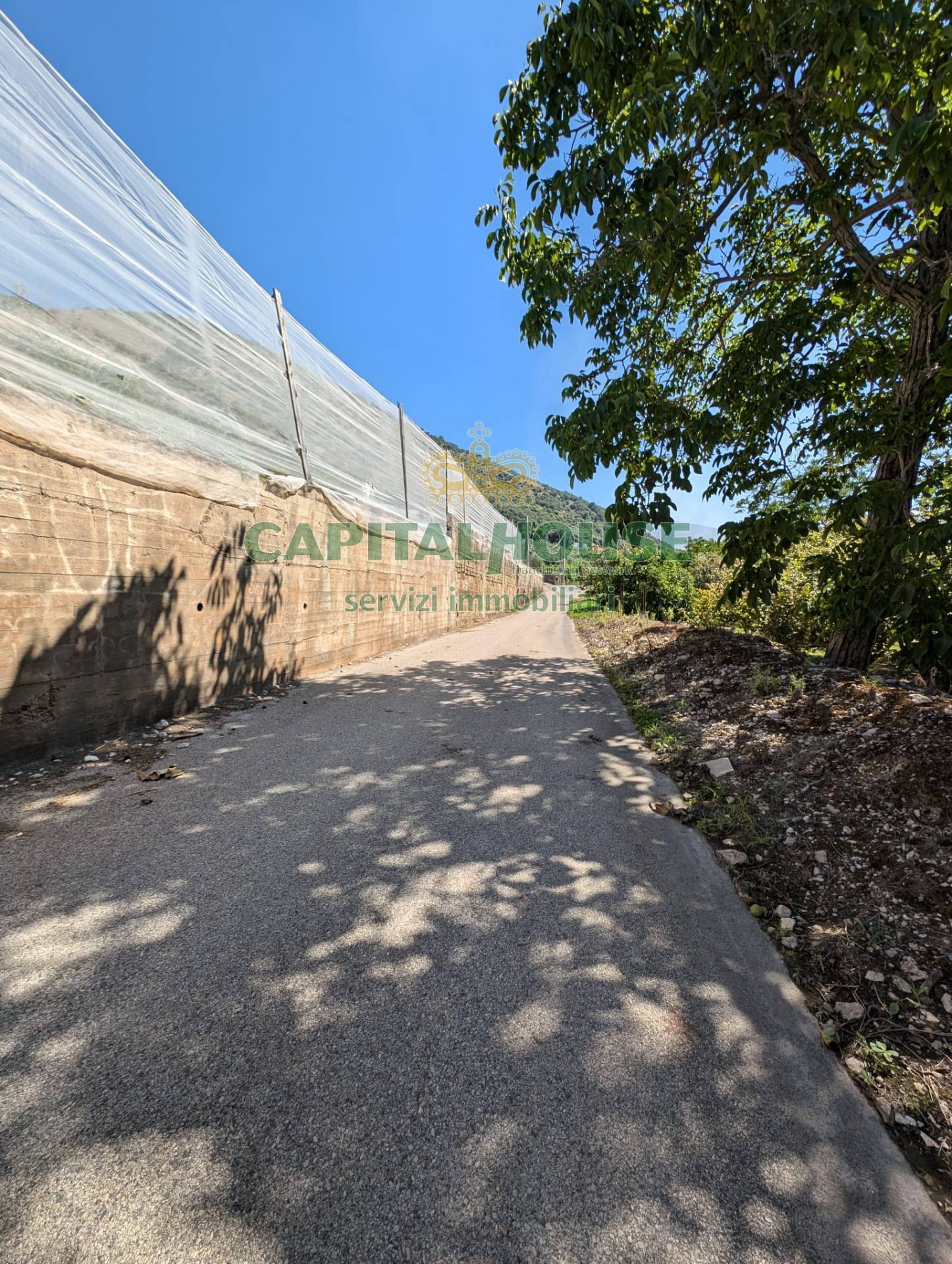 Terreno agricolo in vendita a Cicciano