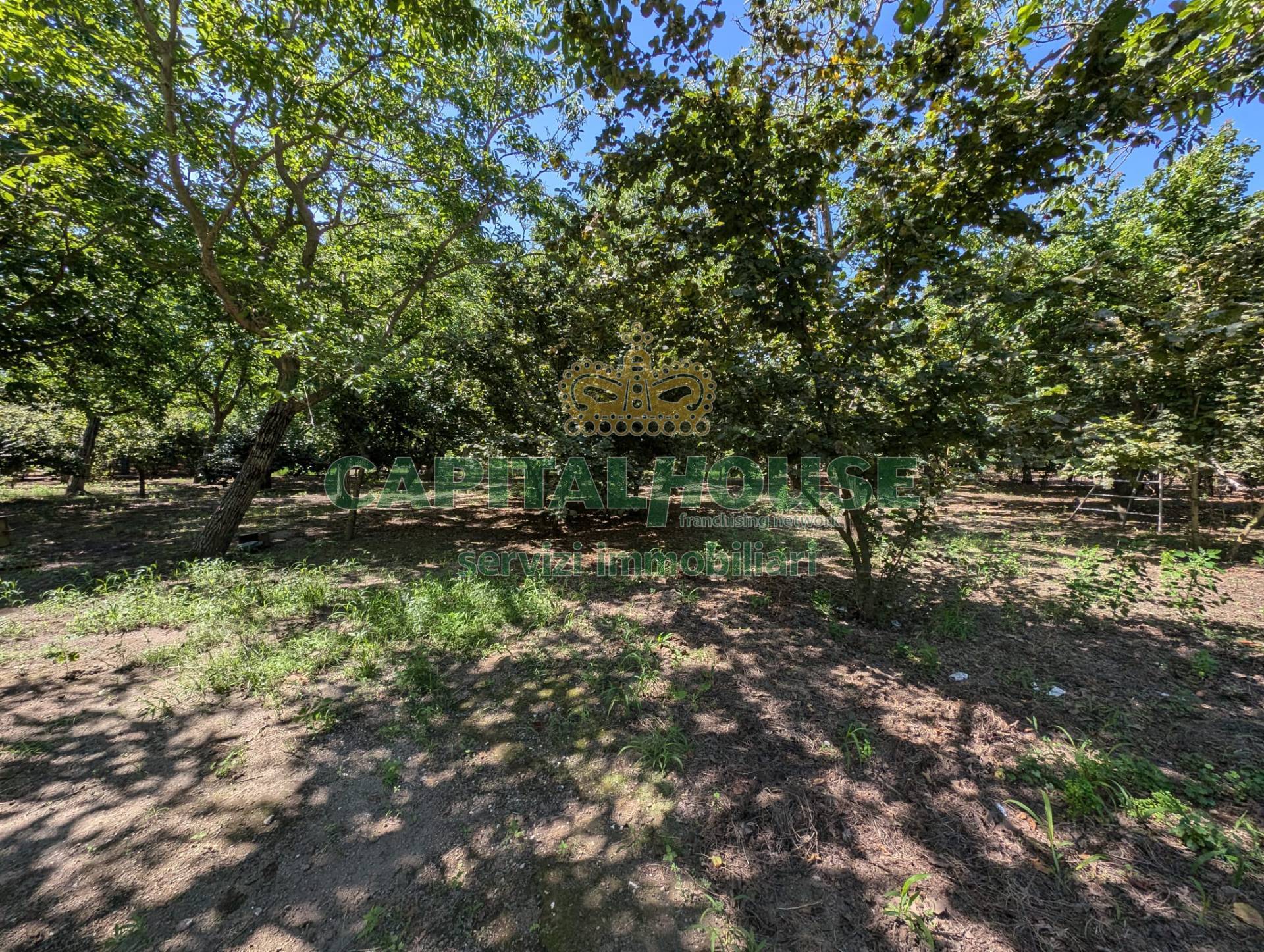 Terreno agricolo in vendita a Cicciano