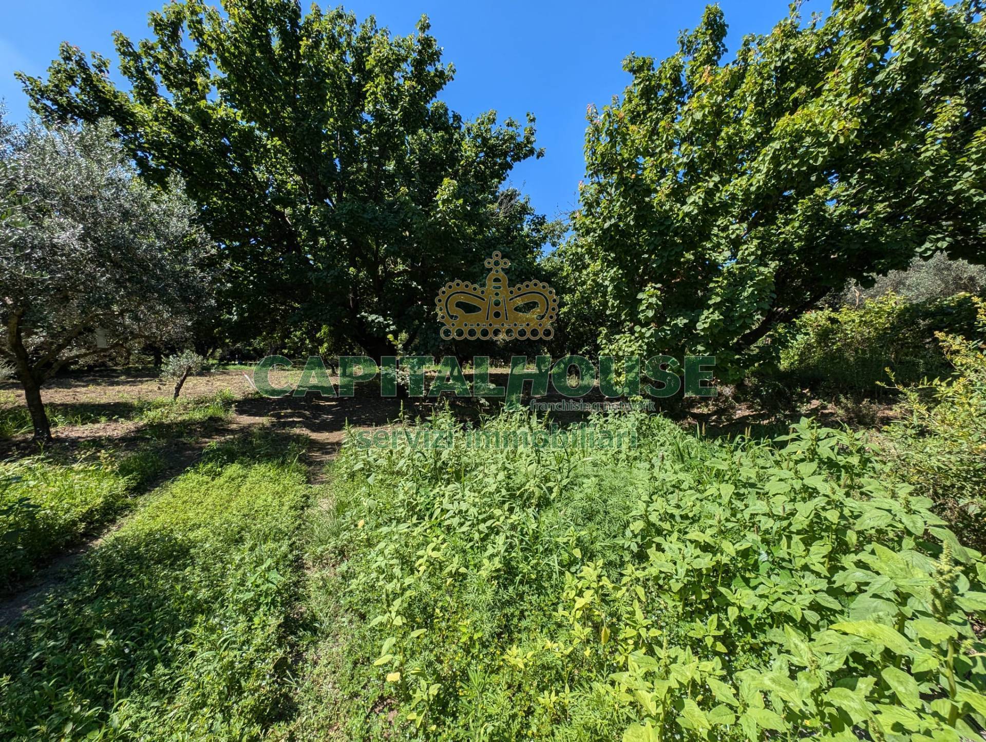 Terreno agricolo in vendita a Cicciano