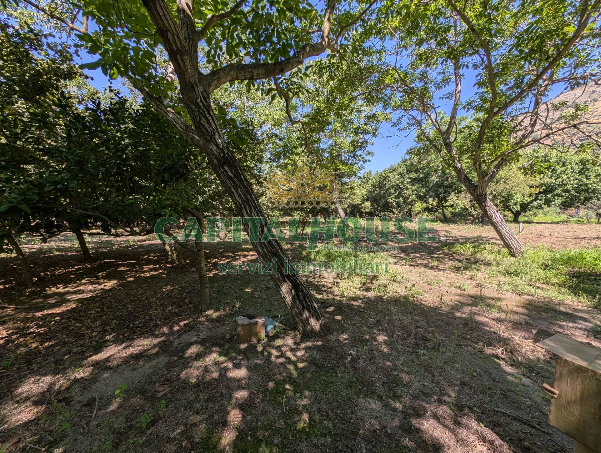 Terreno agricolo in vendita a Cicciano