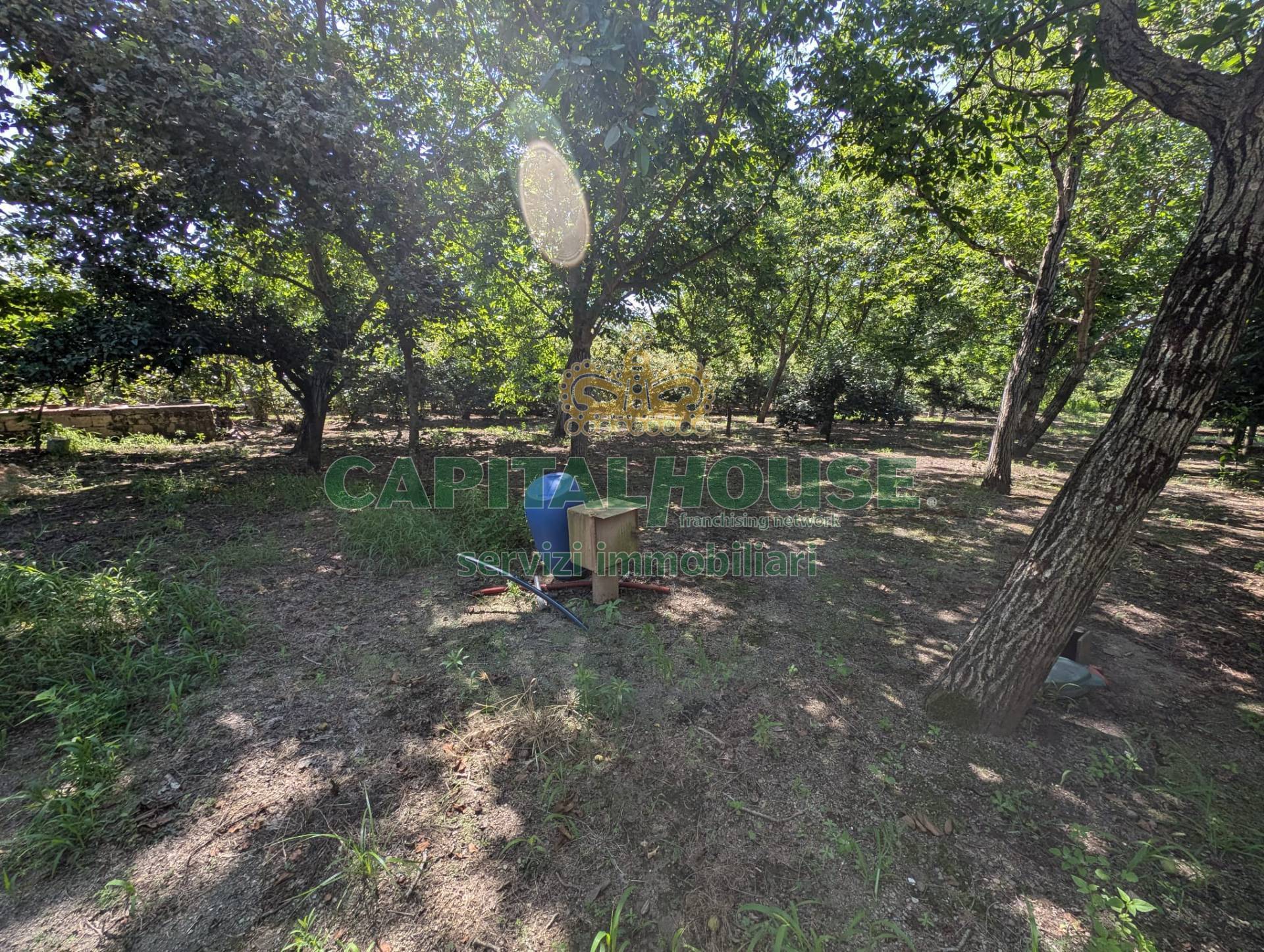 Terreno agricolo in vendita a Cicciano