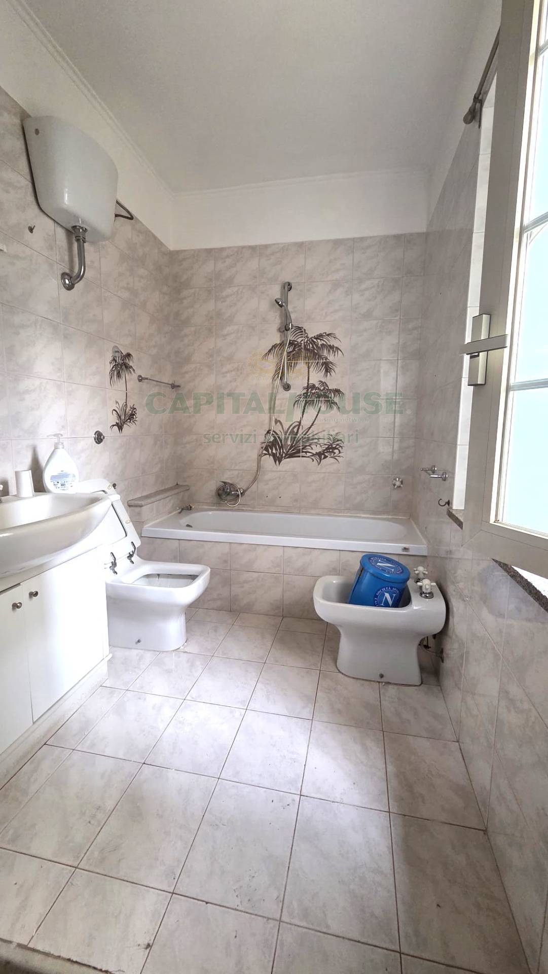 Appartamento in affitto a Cicciano