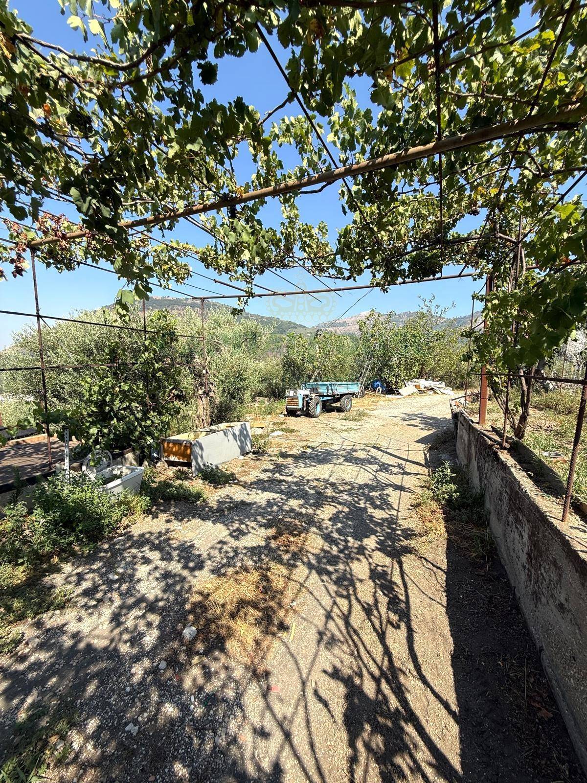 Terreno agricolo - Rudere in vendita a Roccarainola
