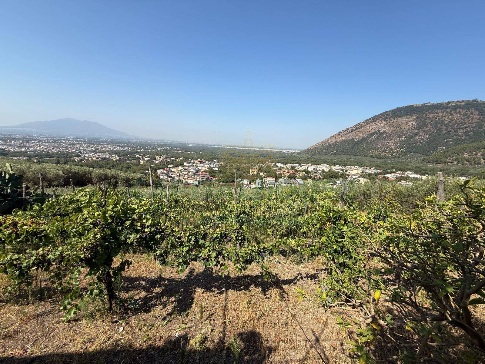 Terreno agricolo - Rudere in vendita a Roccarainola