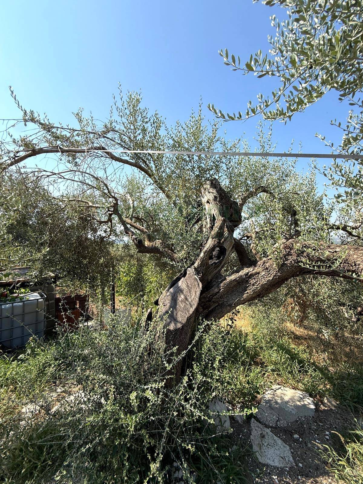 Terreno agricolo - Rudere in vendita a Roccarainola
