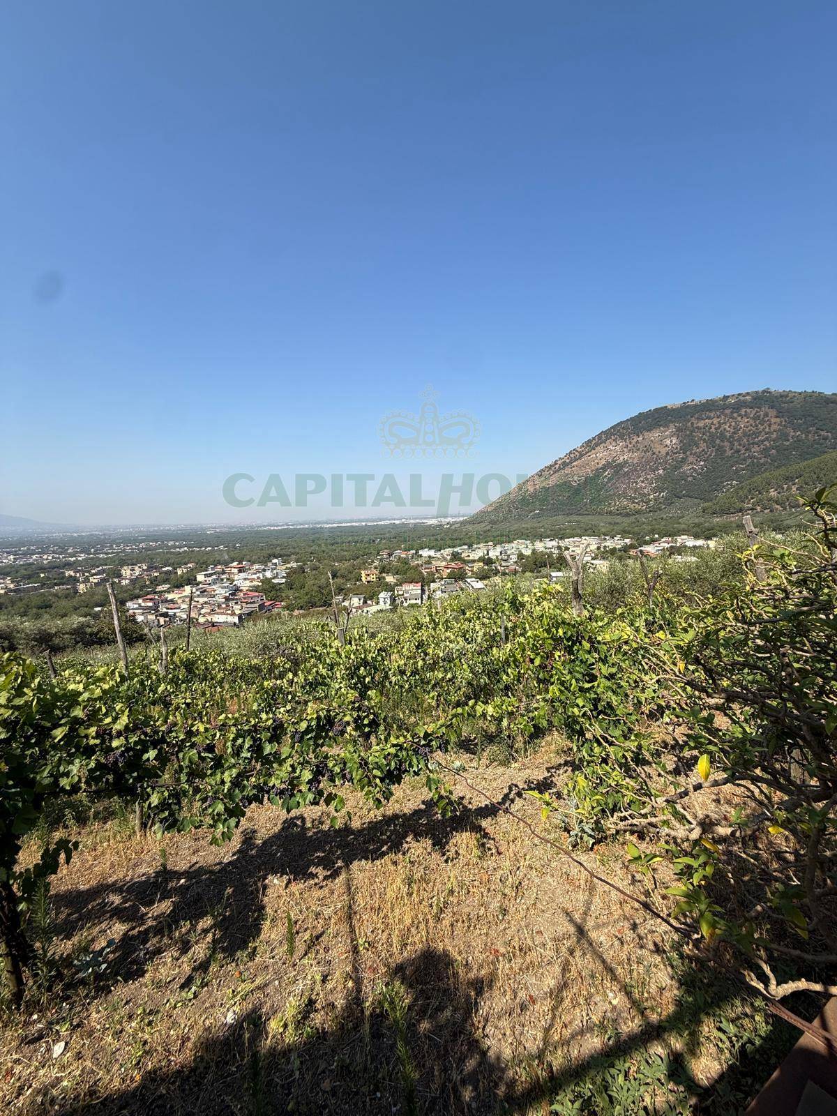 Terreno agricolo - Rudere in vendita a Roccarainola
