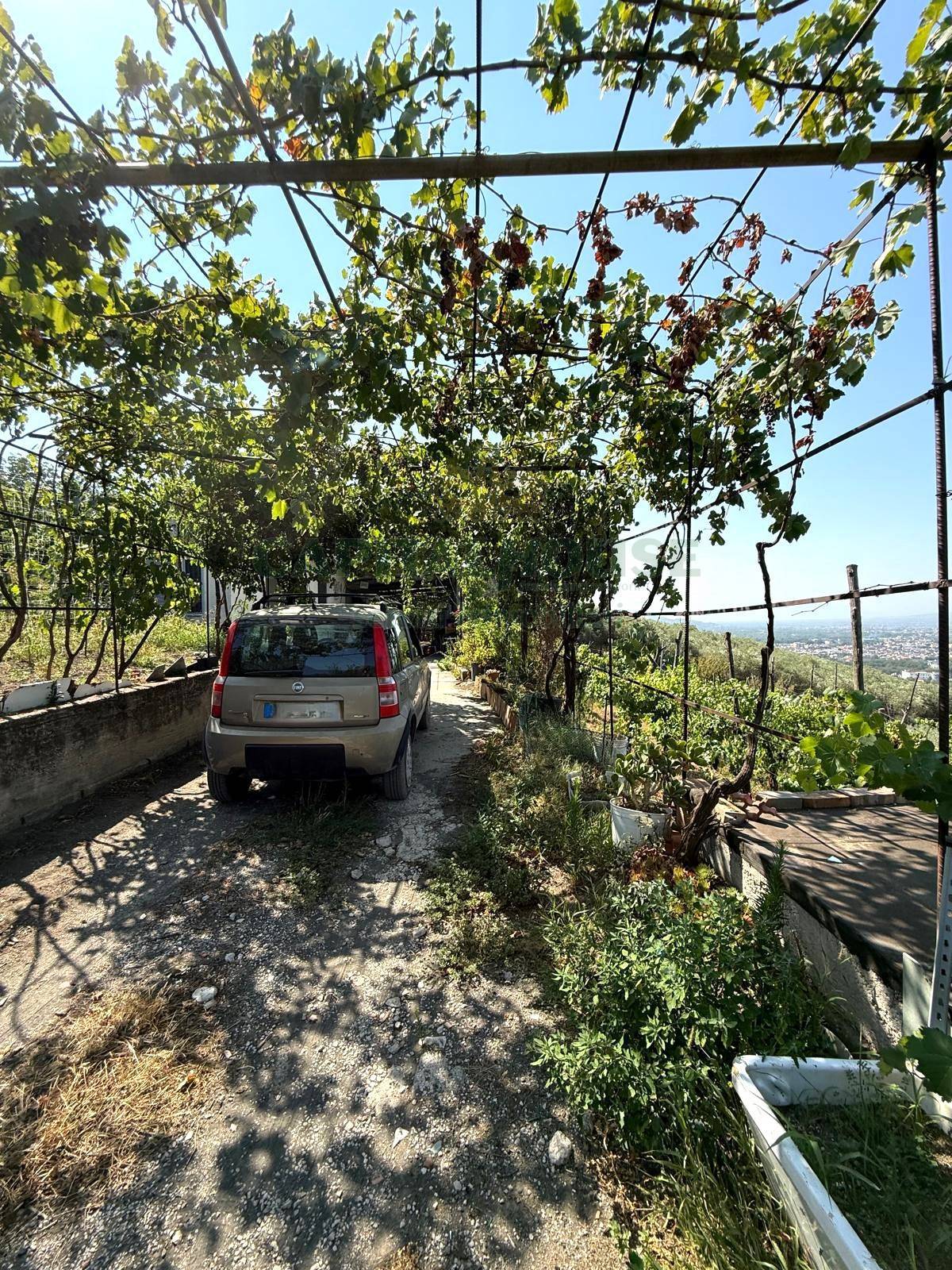 Terreno agricolo - Rudere in vendita a Roccarainola