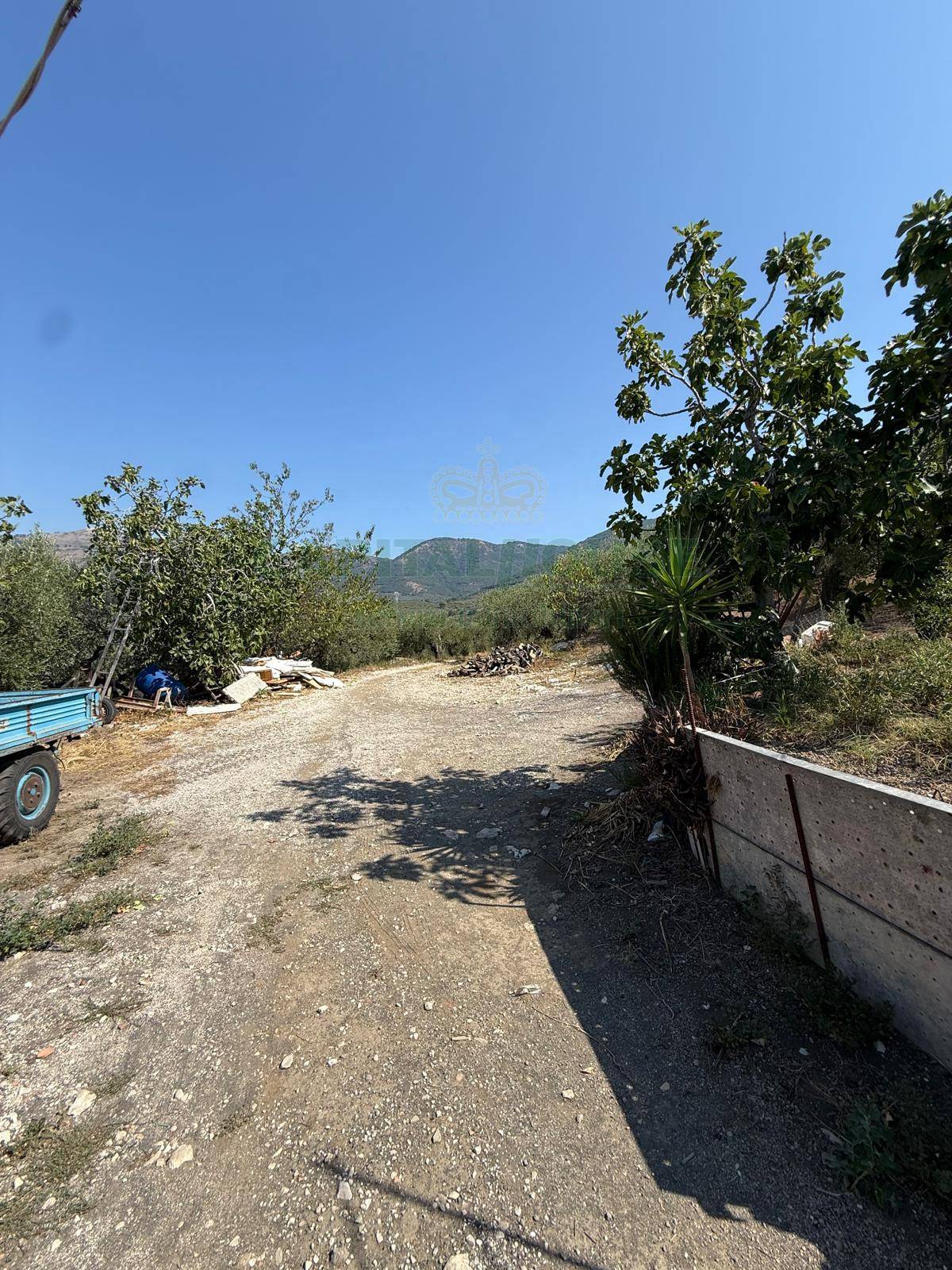 Terreno agricolo - Rudere in vendita a Roccarainola