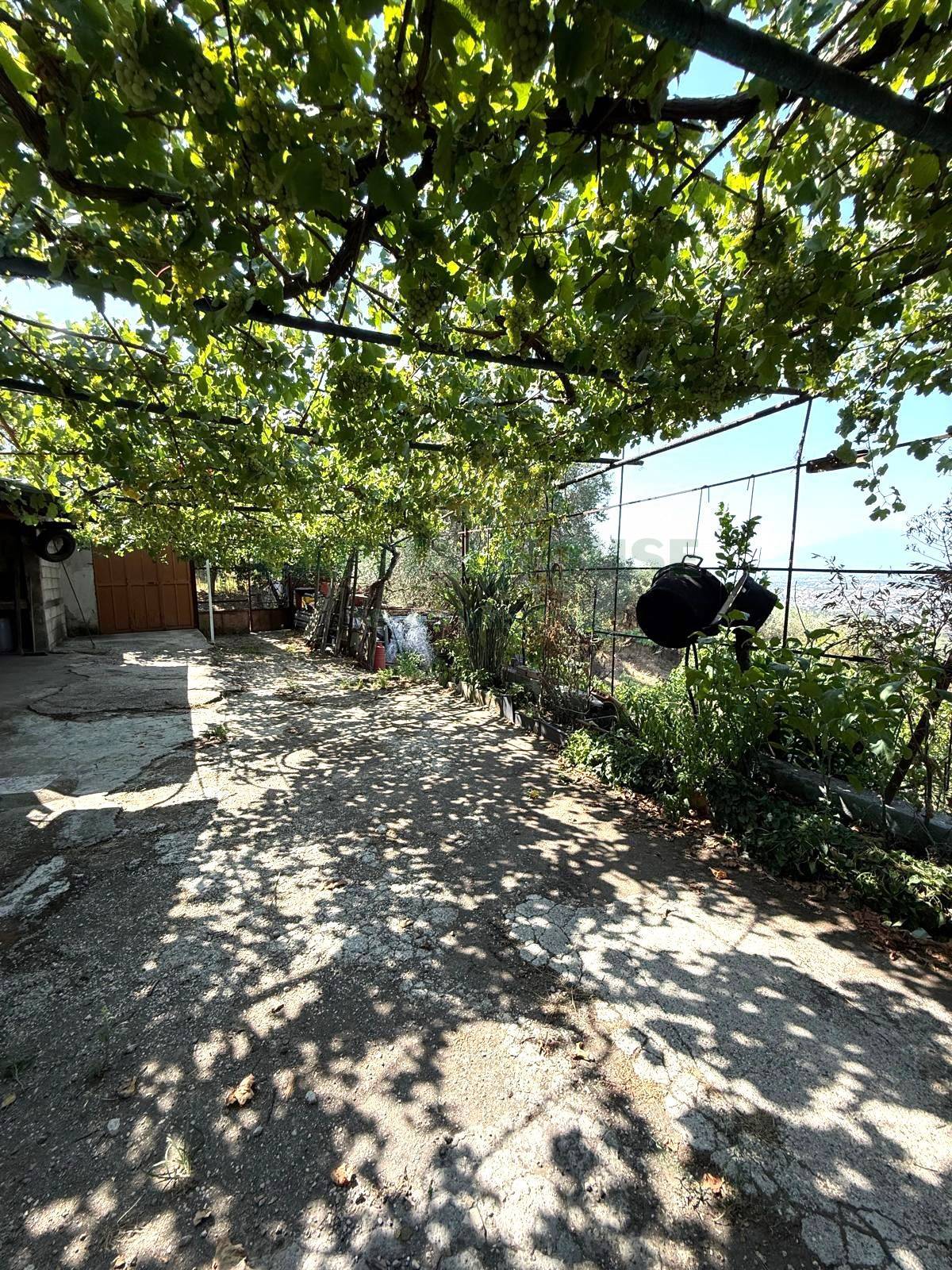 Terreno agricolo - Rudere in vendita a Roccarainola
