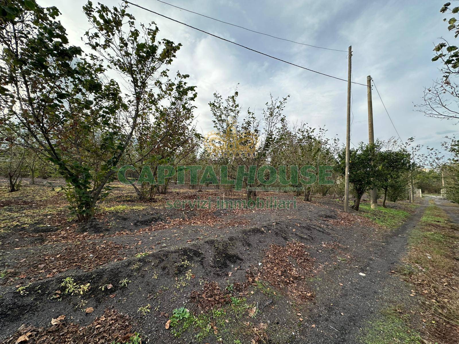 Terreno in vendita a Ottaviano