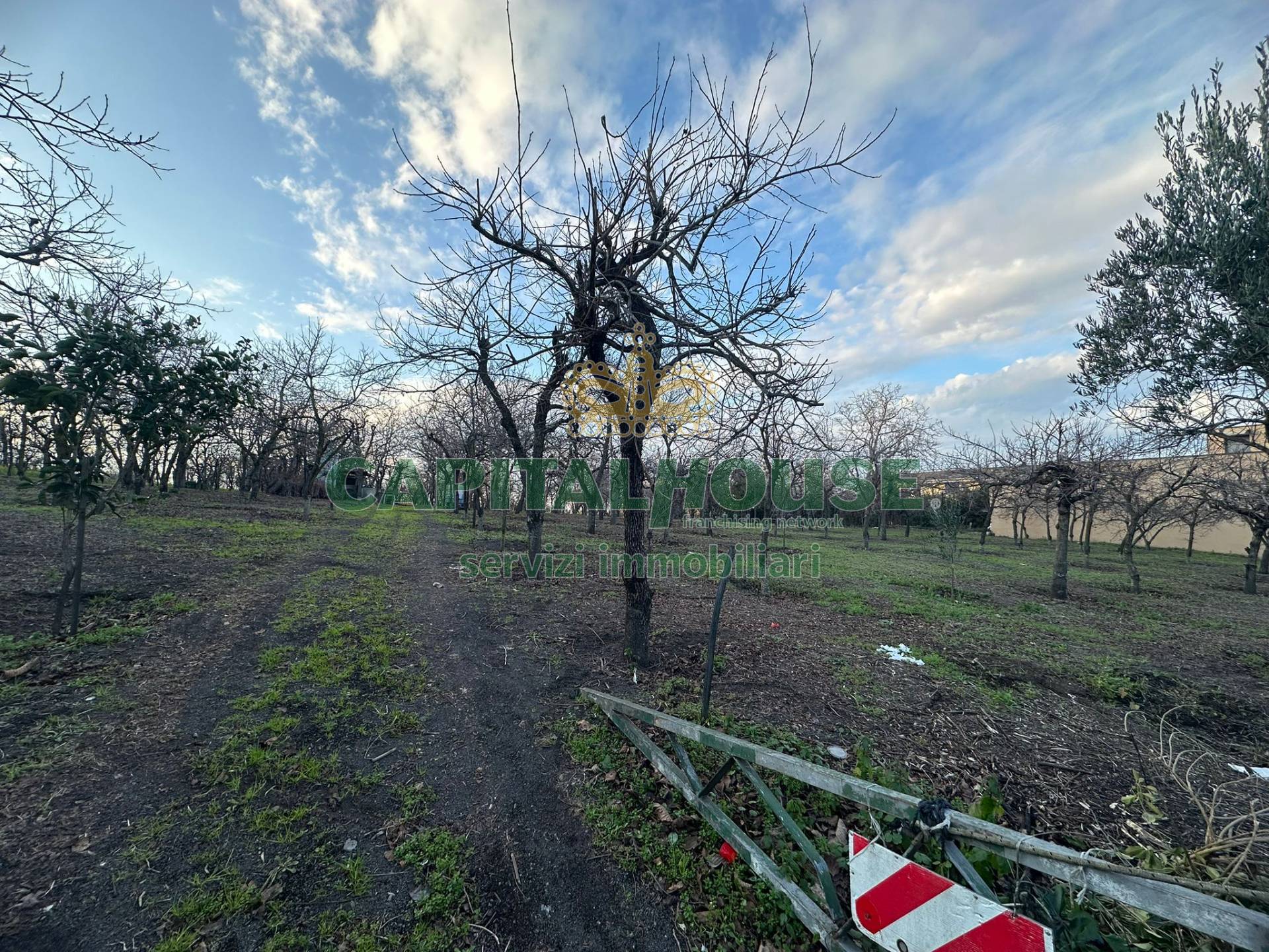 Terreno agricolo in vendita a Somma Vesuviana