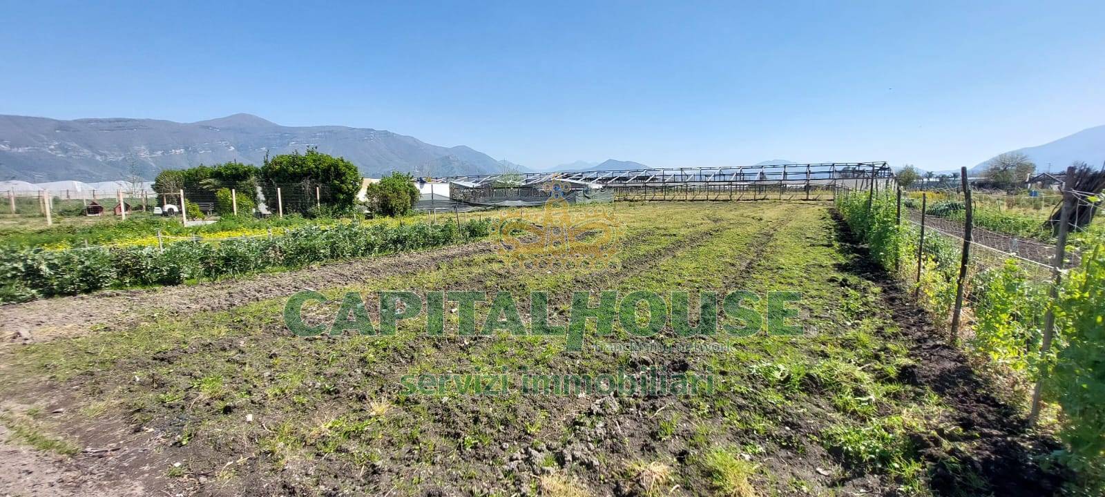 Terreno agricolo in vendita a Poggiomarino