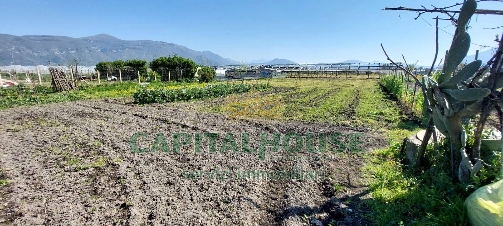 Terreno agricolo in vendita a Poggiomarino