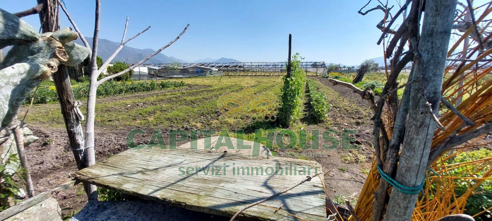 Terreno agricolo in vendita a Poggiomarino