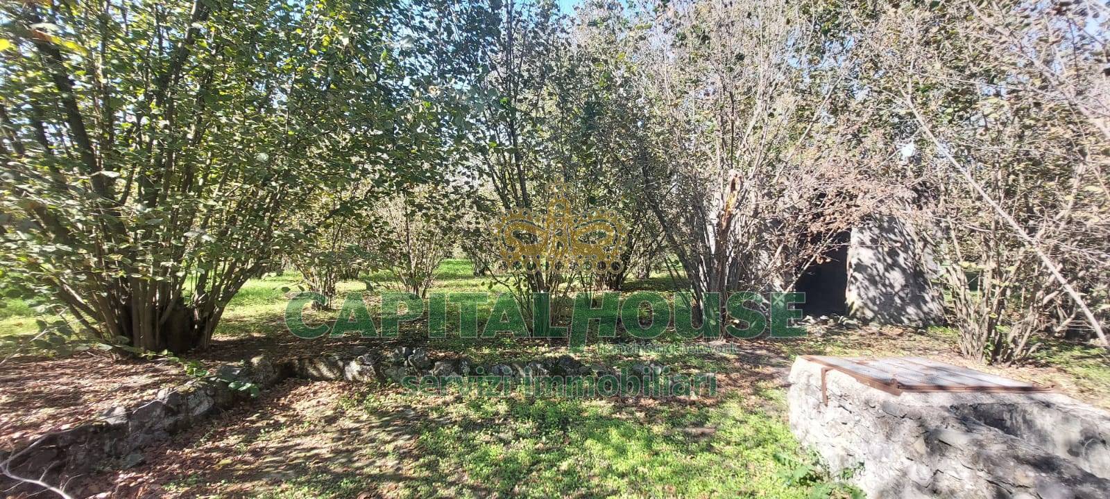 Terreno agricolo in vendita a Poggiomarino