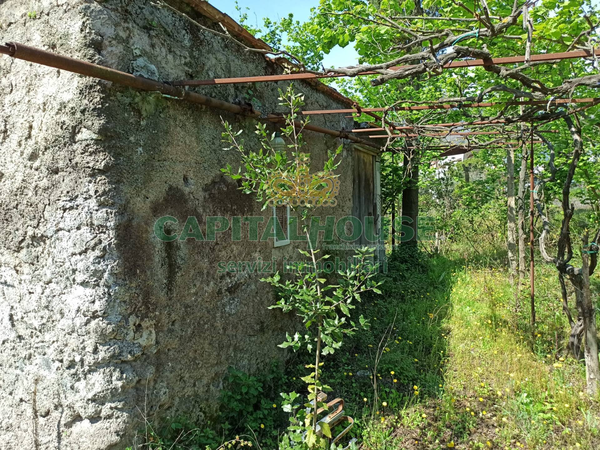 immagine annuncio 4 di 6