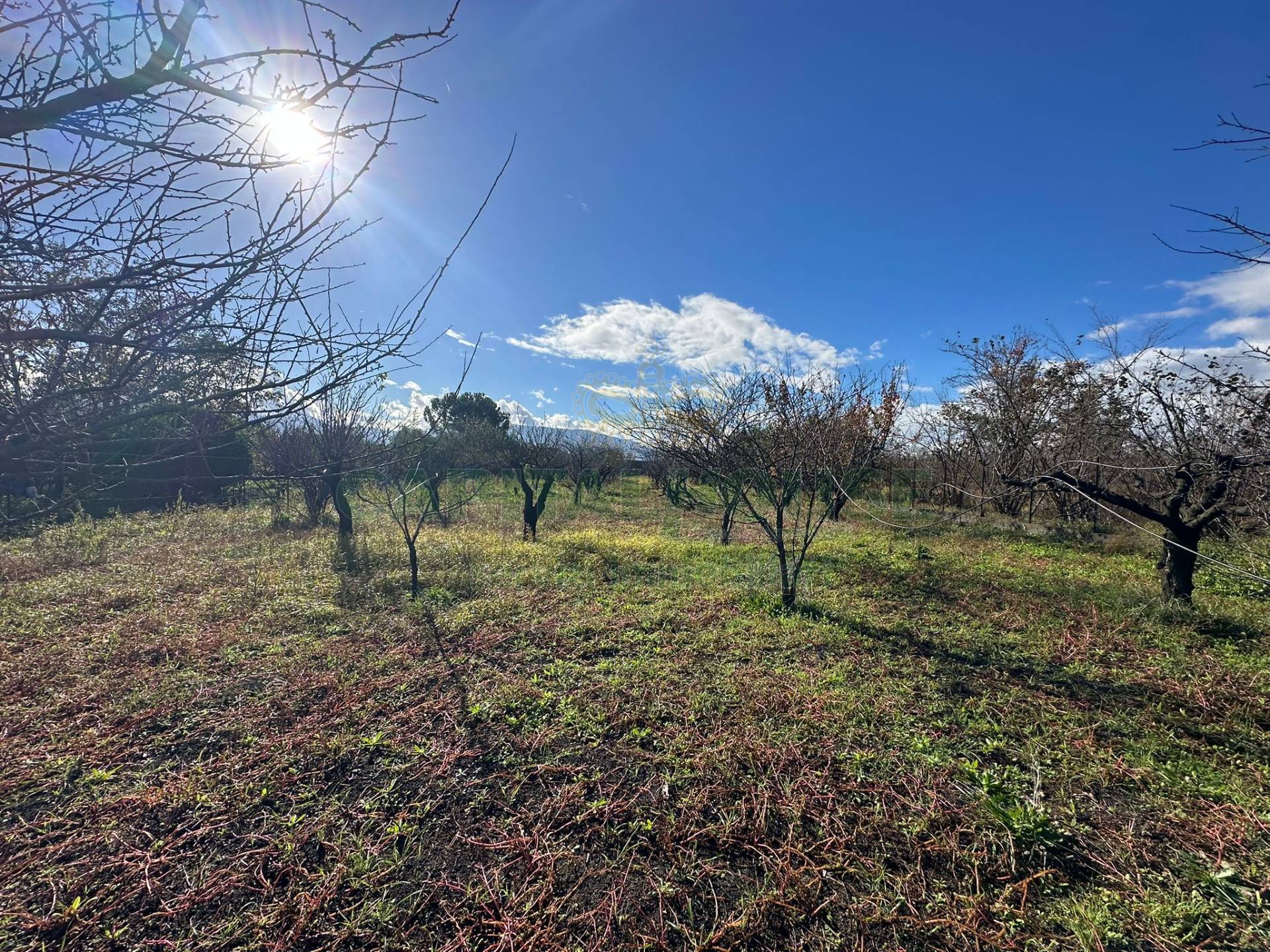 Terreno agricolo in vendita a Terzigno
