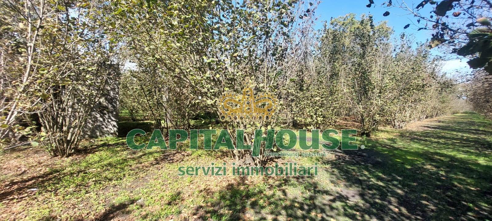 Terreno agricolo in vendita a Ottaviano