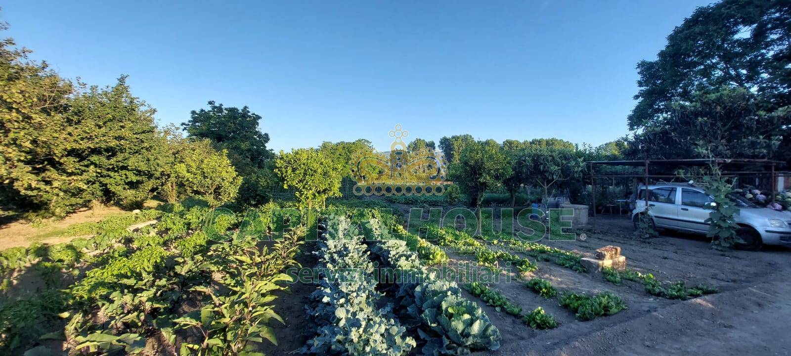 Terreno agricolo in vendita a Ottaviano