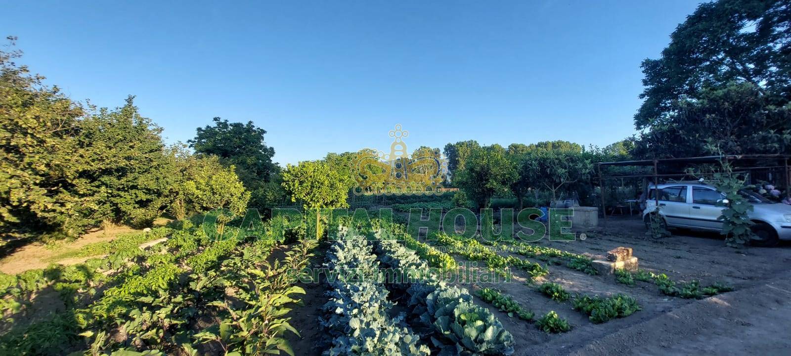 Terreno agricolo in vendita a Ottaviano