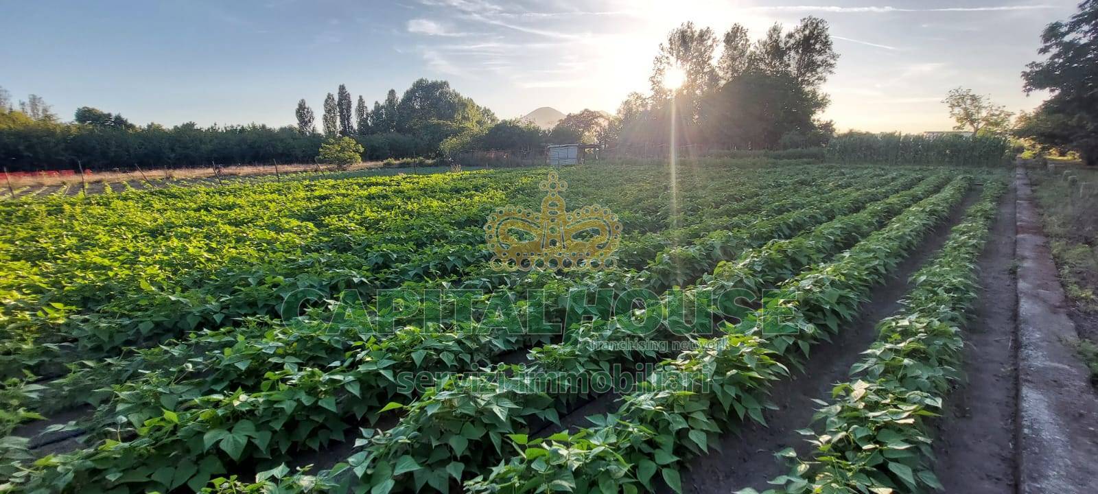 Terreno agricolo in vendita a Somma Vesuviana