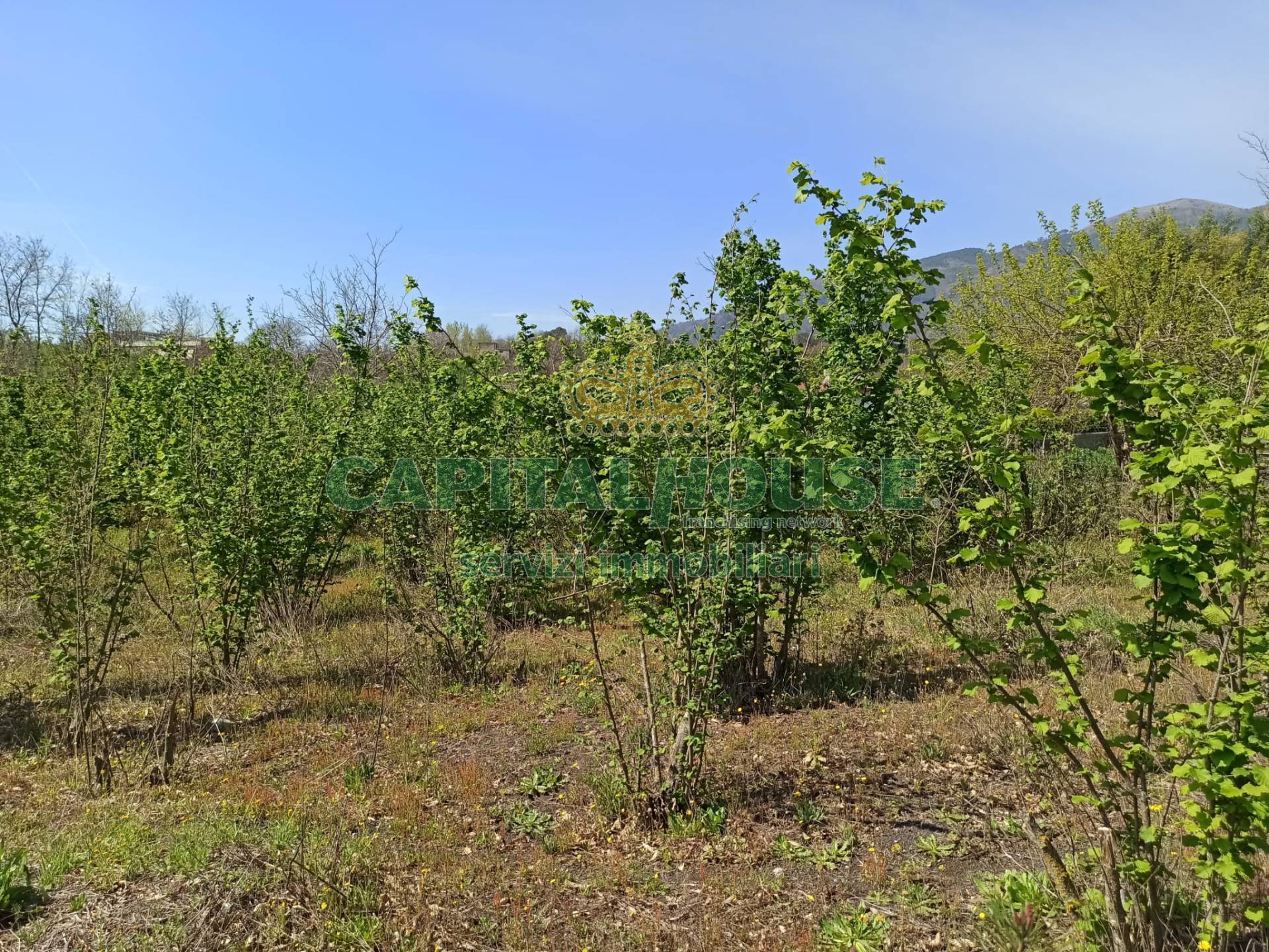 Terreno agricolo in vendita a San Giuseppe Vesuviano