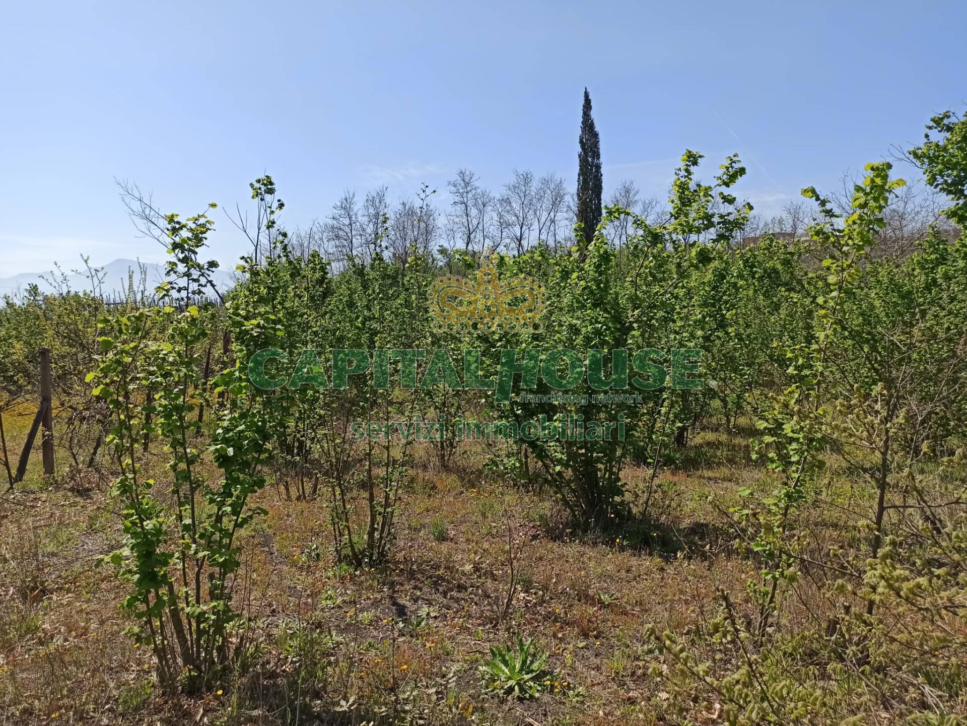Terreno agricolo in vendita a San Giuseppe Vesuviano