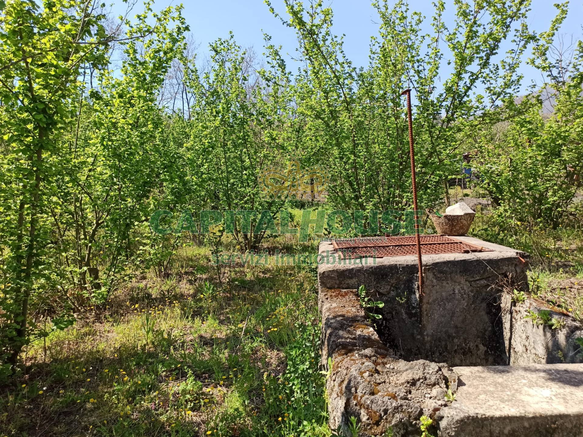 Terreno agricolo in vendita a San Giuseppe Vesuviano
